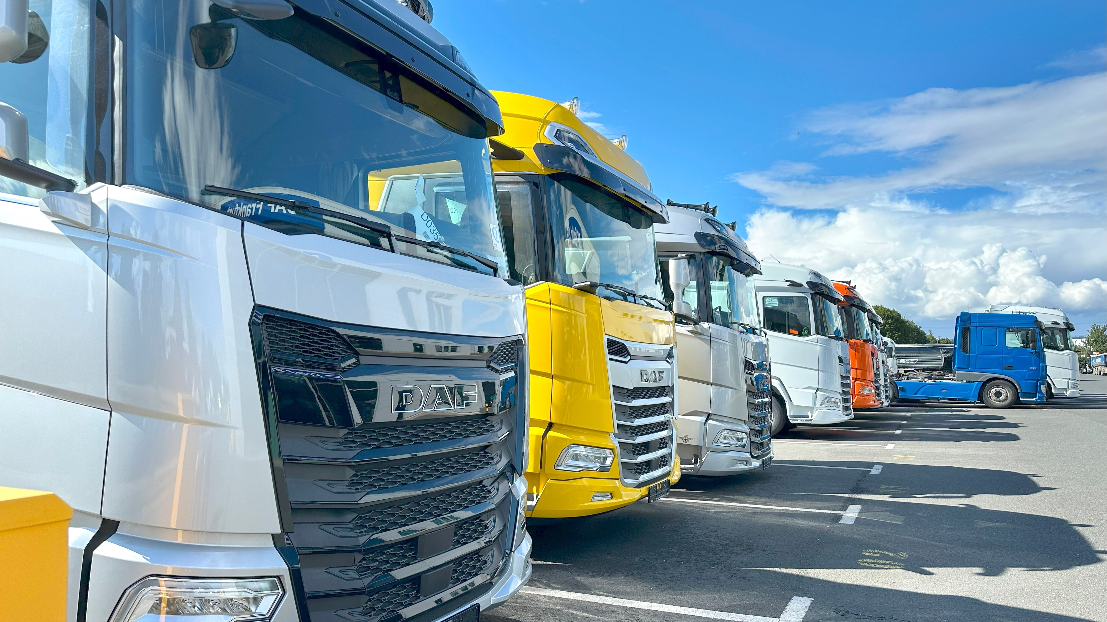 Foto: Kittyfly / Shutterstock