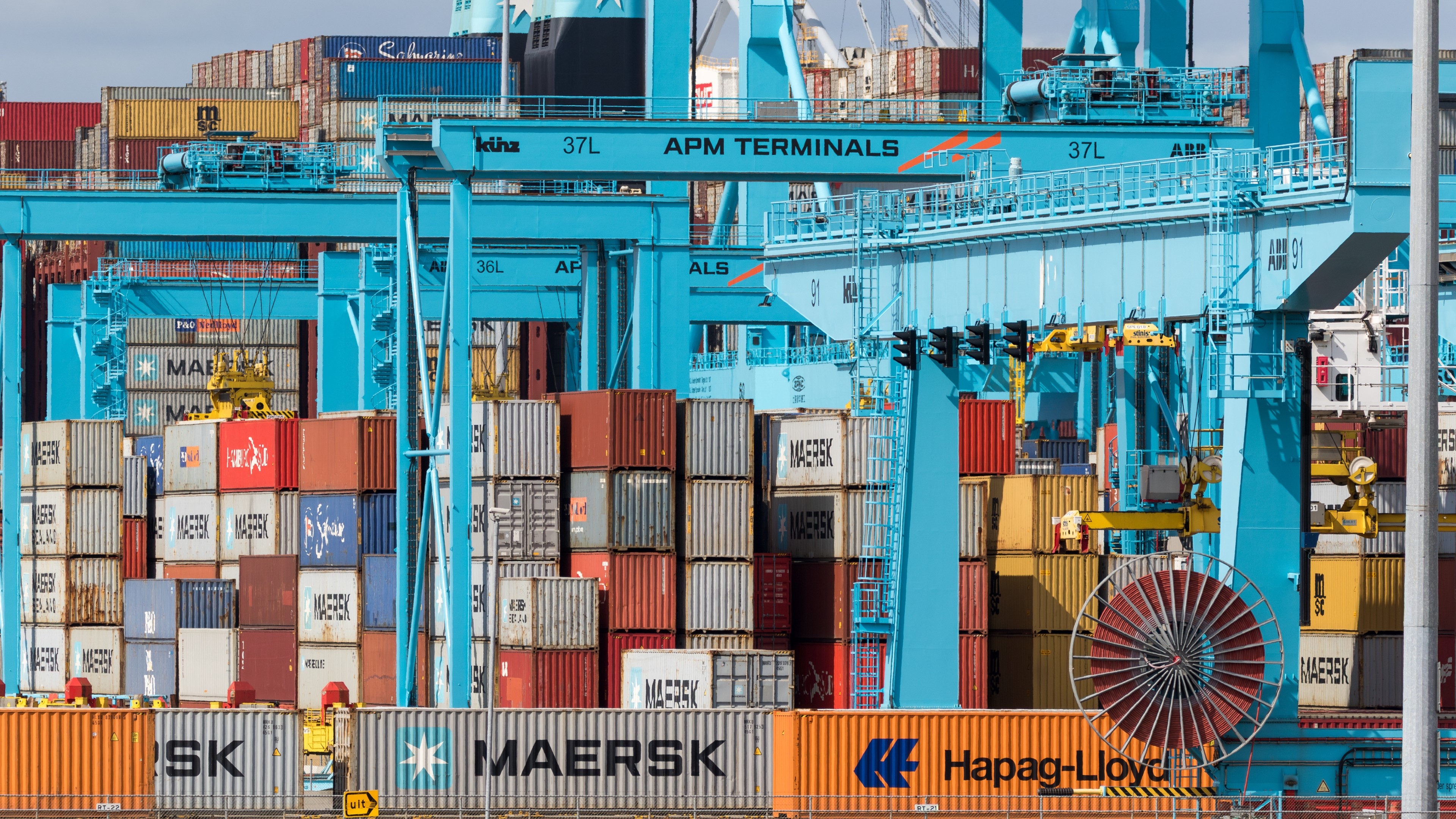 Foto: VanderWolf Images / Shutterstock.com