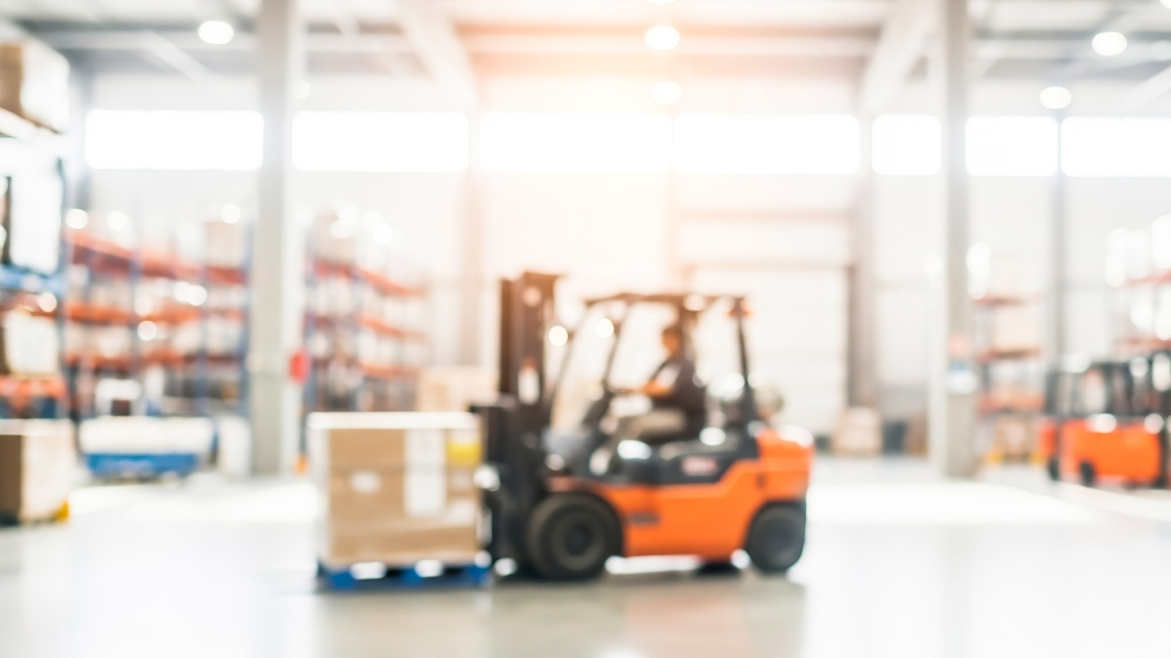 Foto: Ali Haidar / Shutterstock.com