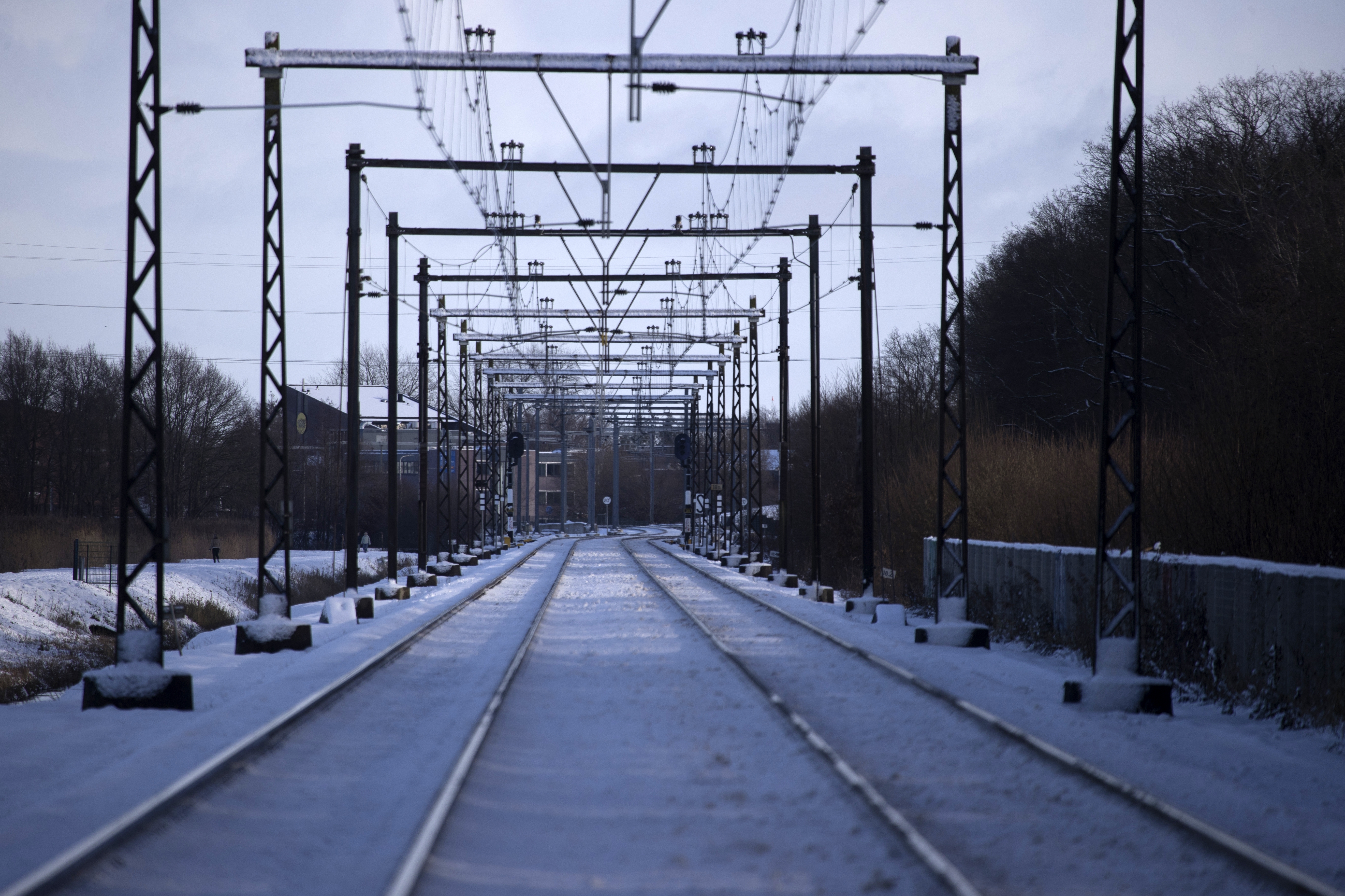 Foto: Ronald Wilfred Jansen / Shutterstock