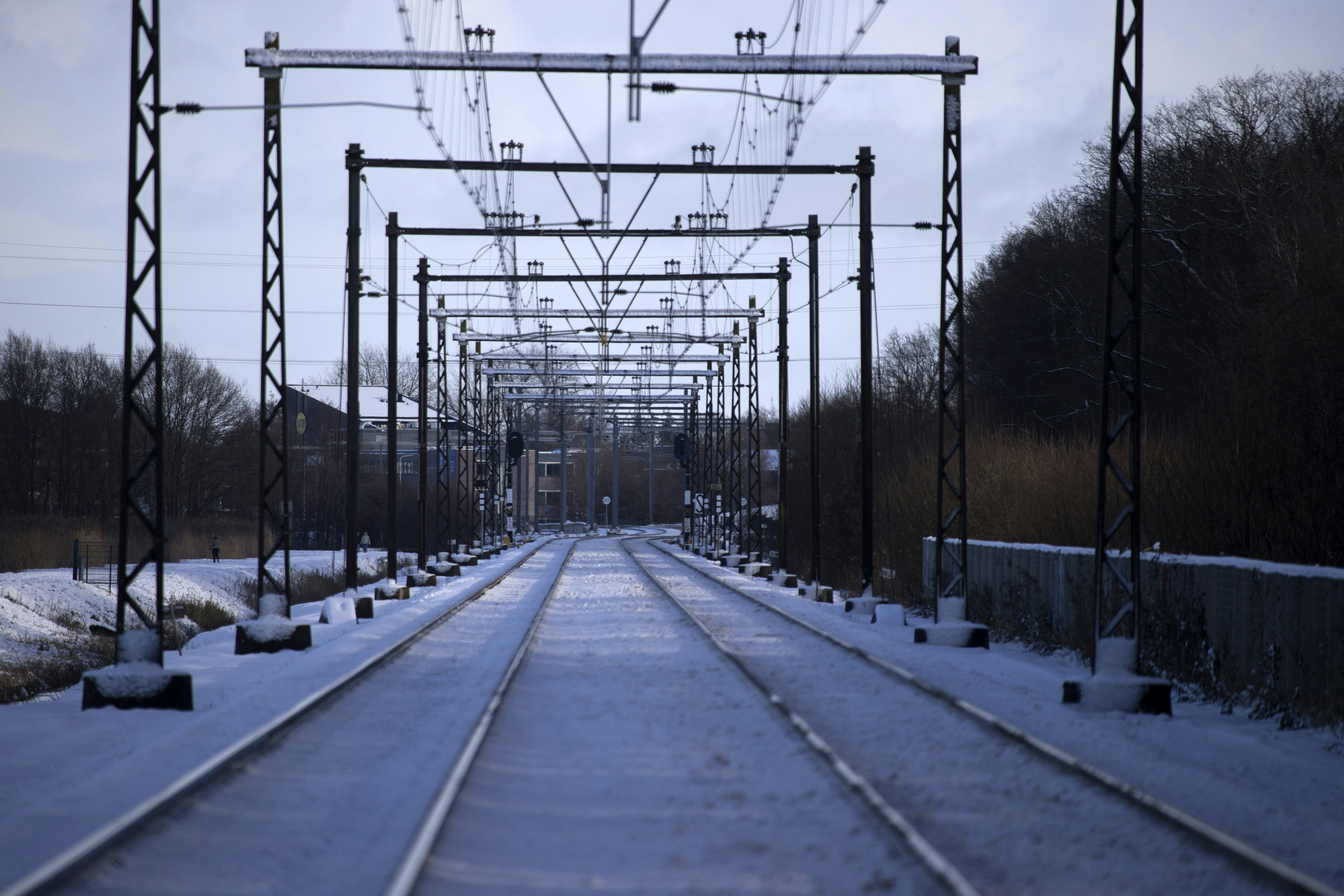 Foto: Ronald Wilfred Jansen / Shutterstock