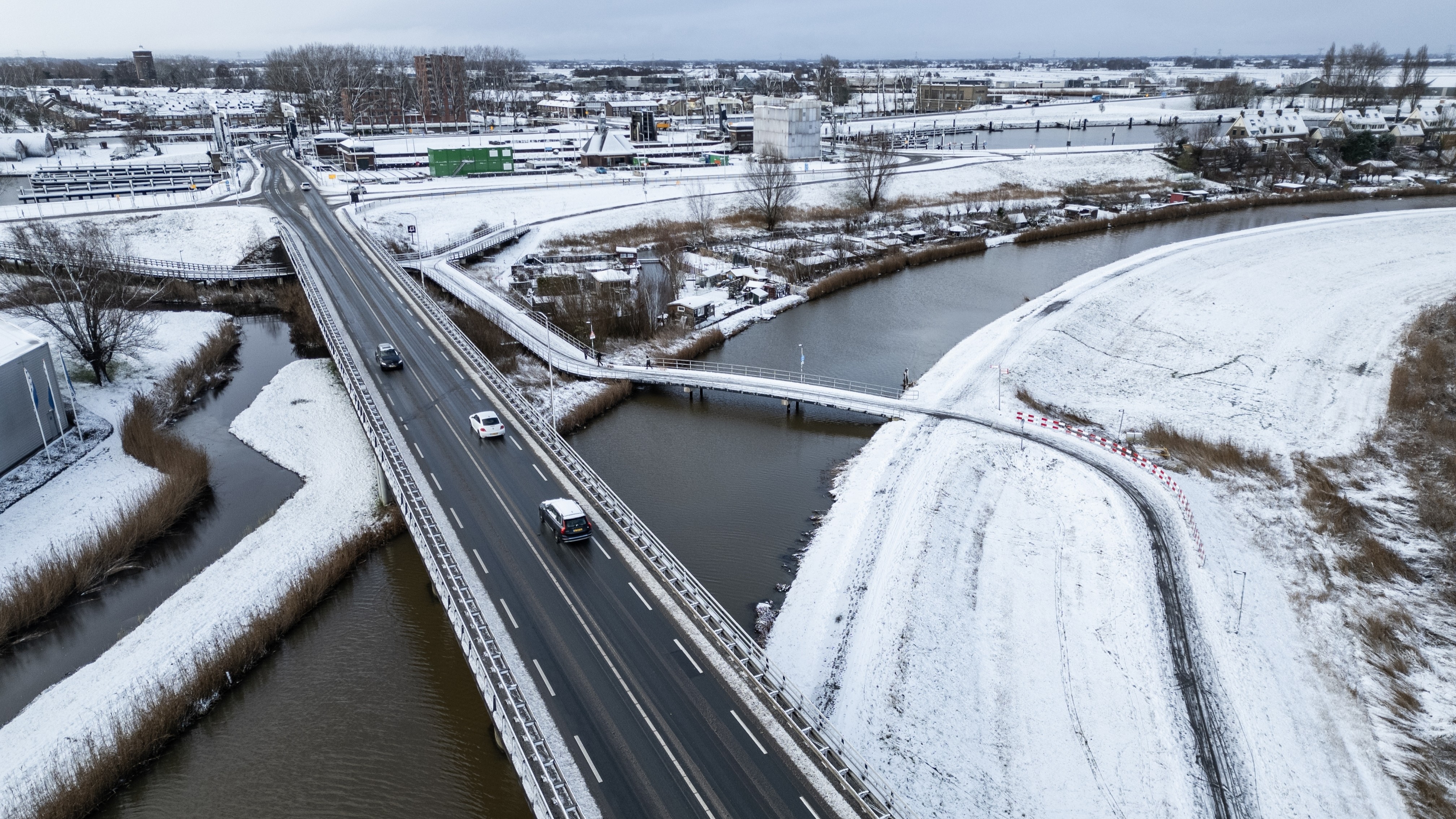 Foto: Drew McArthur / Shutterstock