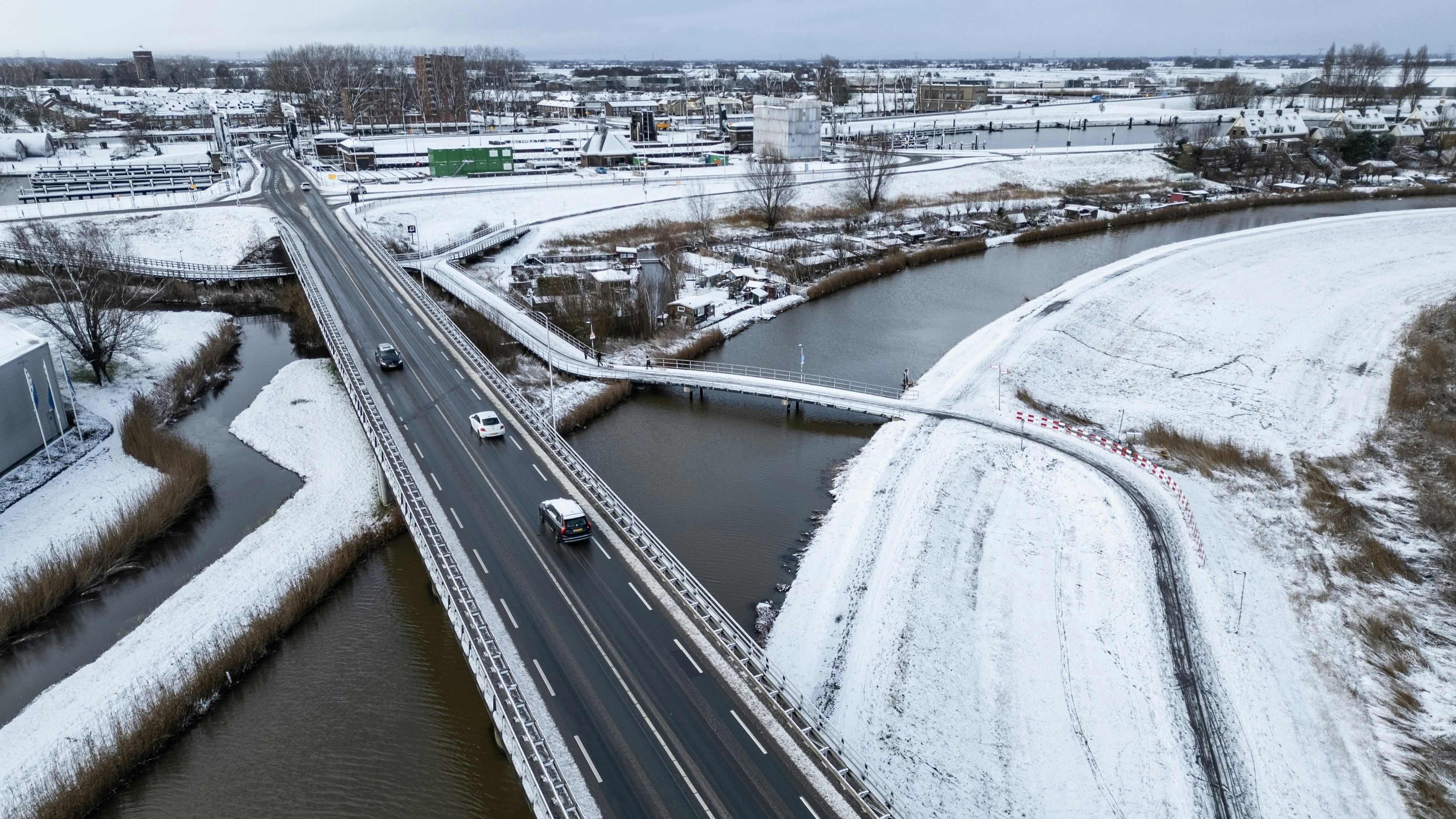 Foto: Drew McArthur / Shutterstock