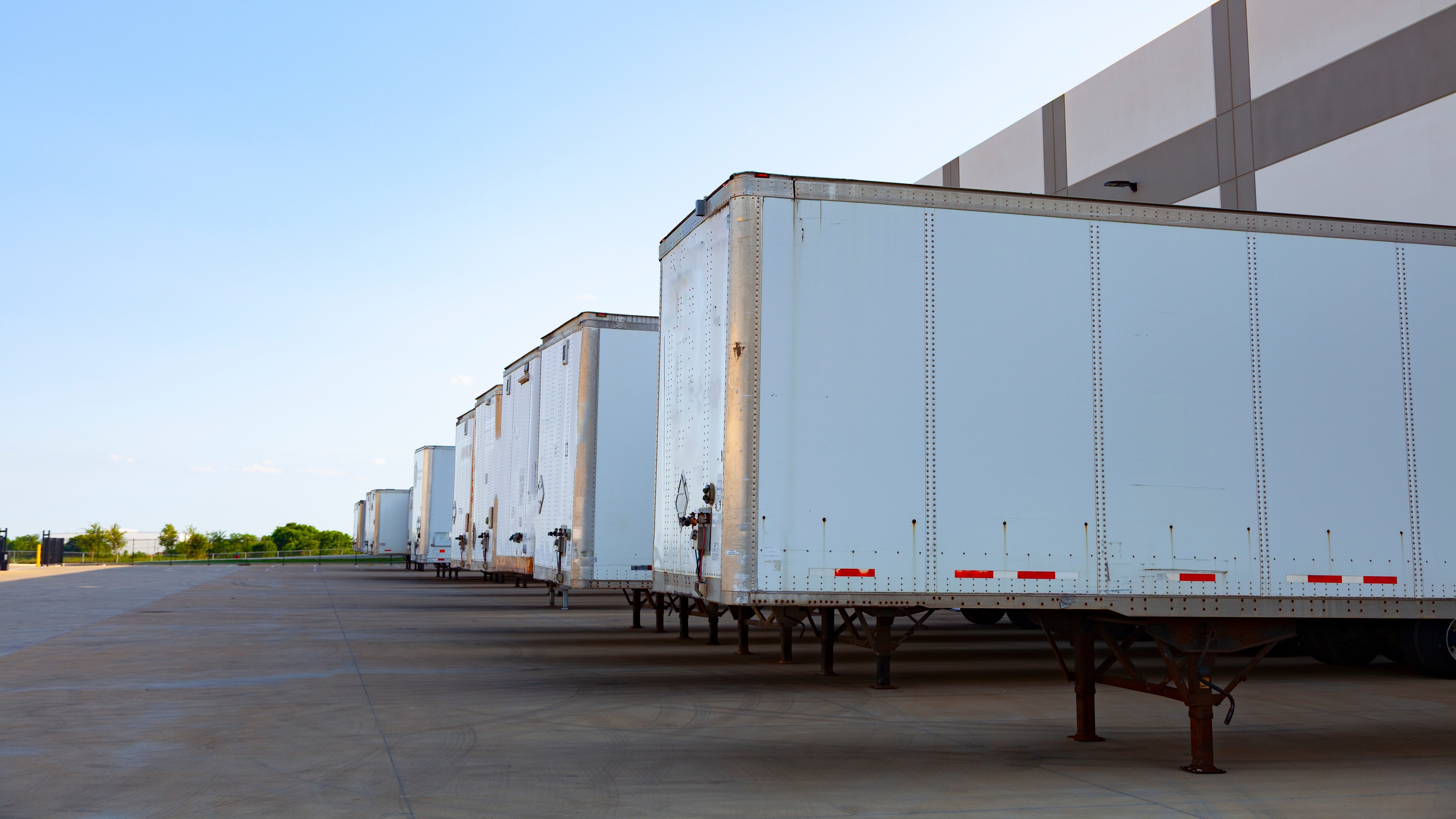 Foto: MMCRP / Shutterstock