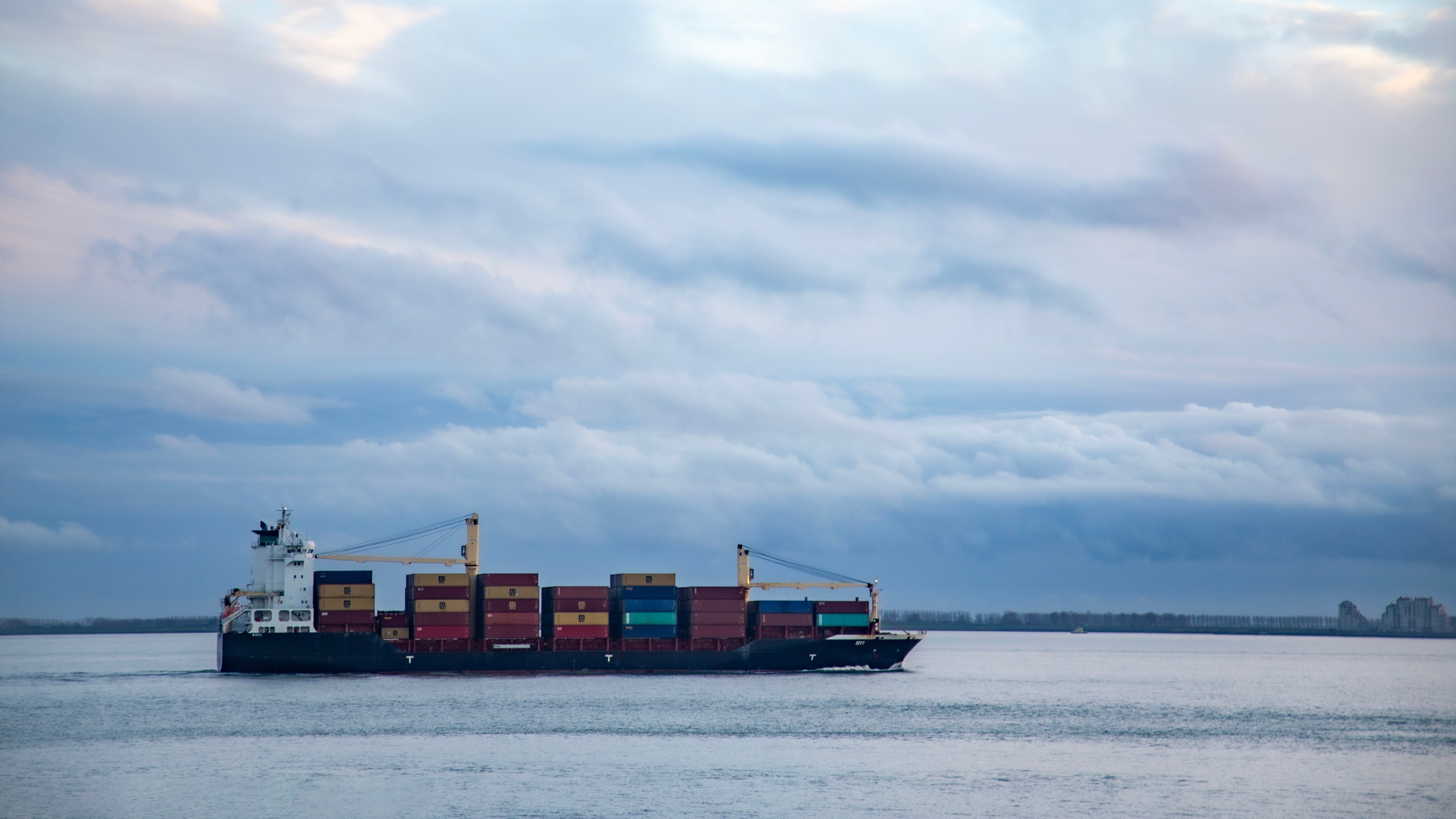 Foto: Elisa Amoud / Shutterstock