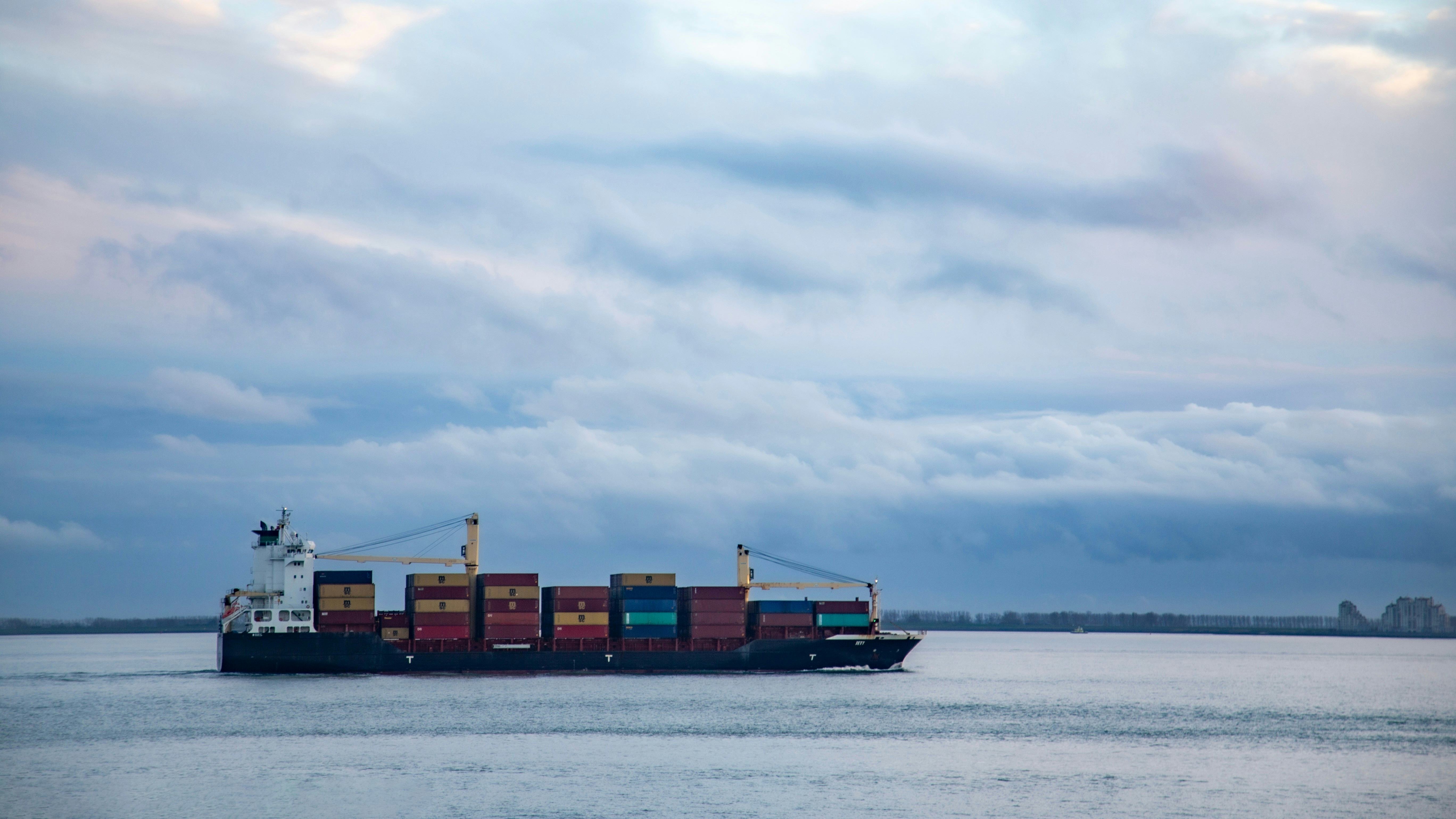 Foto: Elisa Amoud / Shutterstock