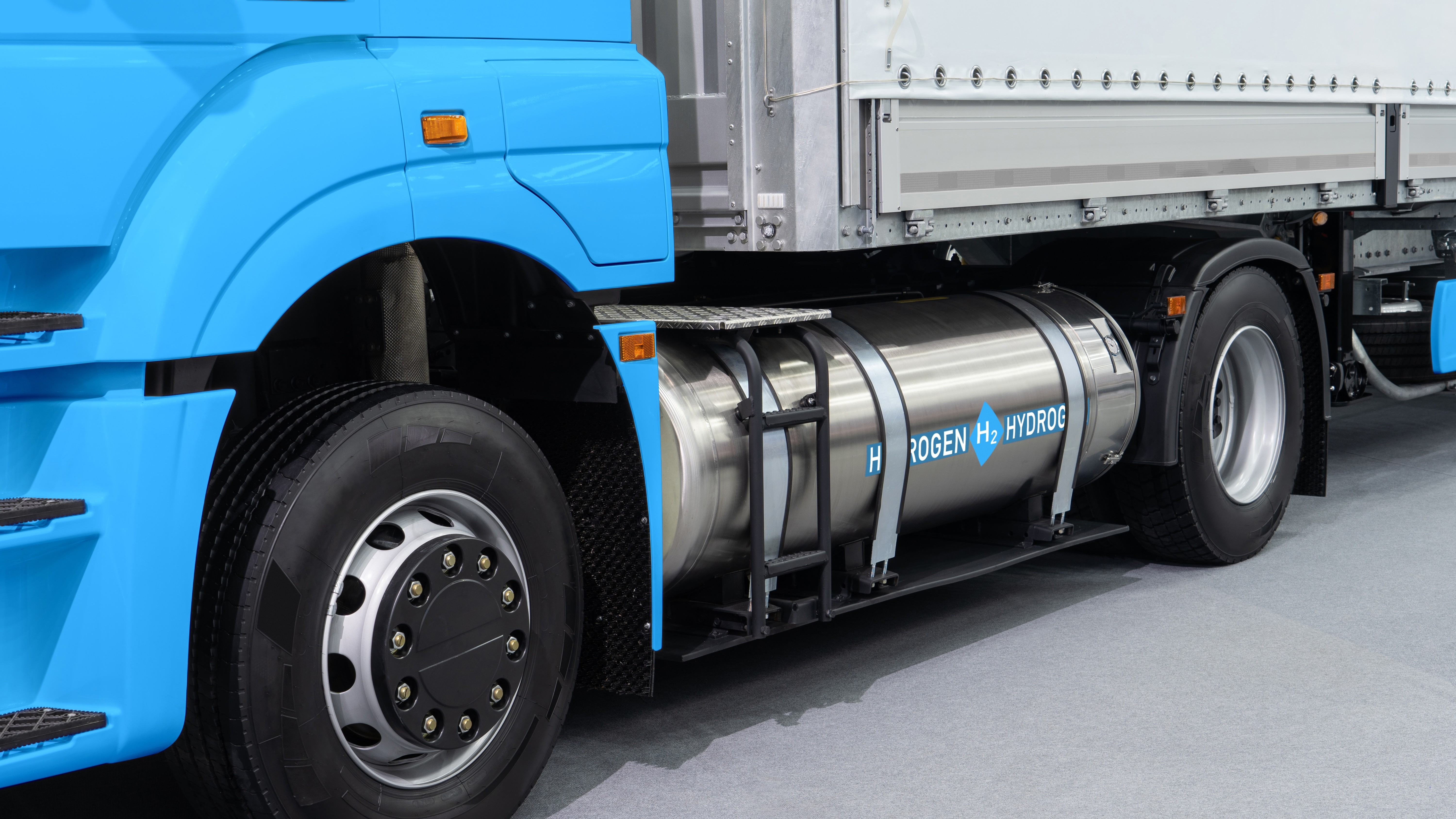 Foto: Scharfsinn / Shutterstock