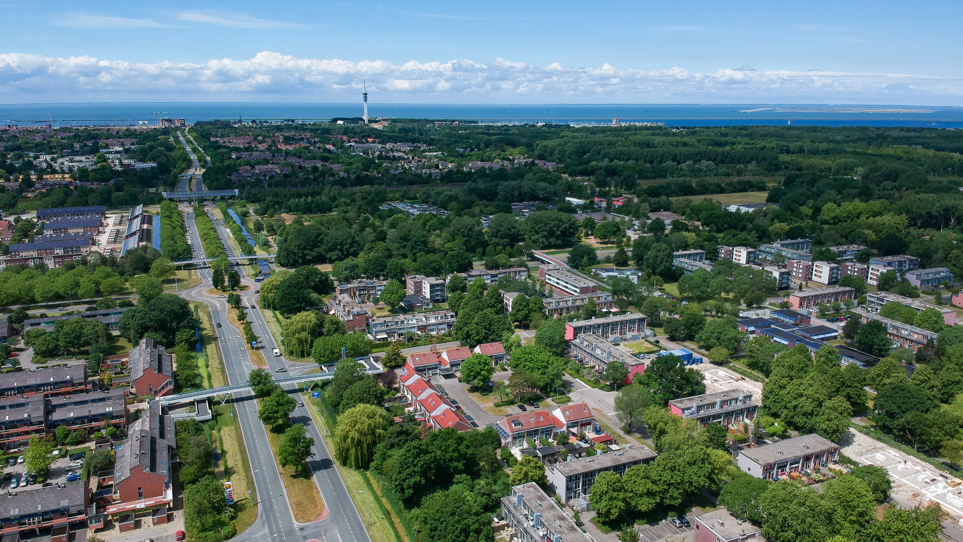 Foto: AVenZo - Ludo de Rooij / Shutterstock