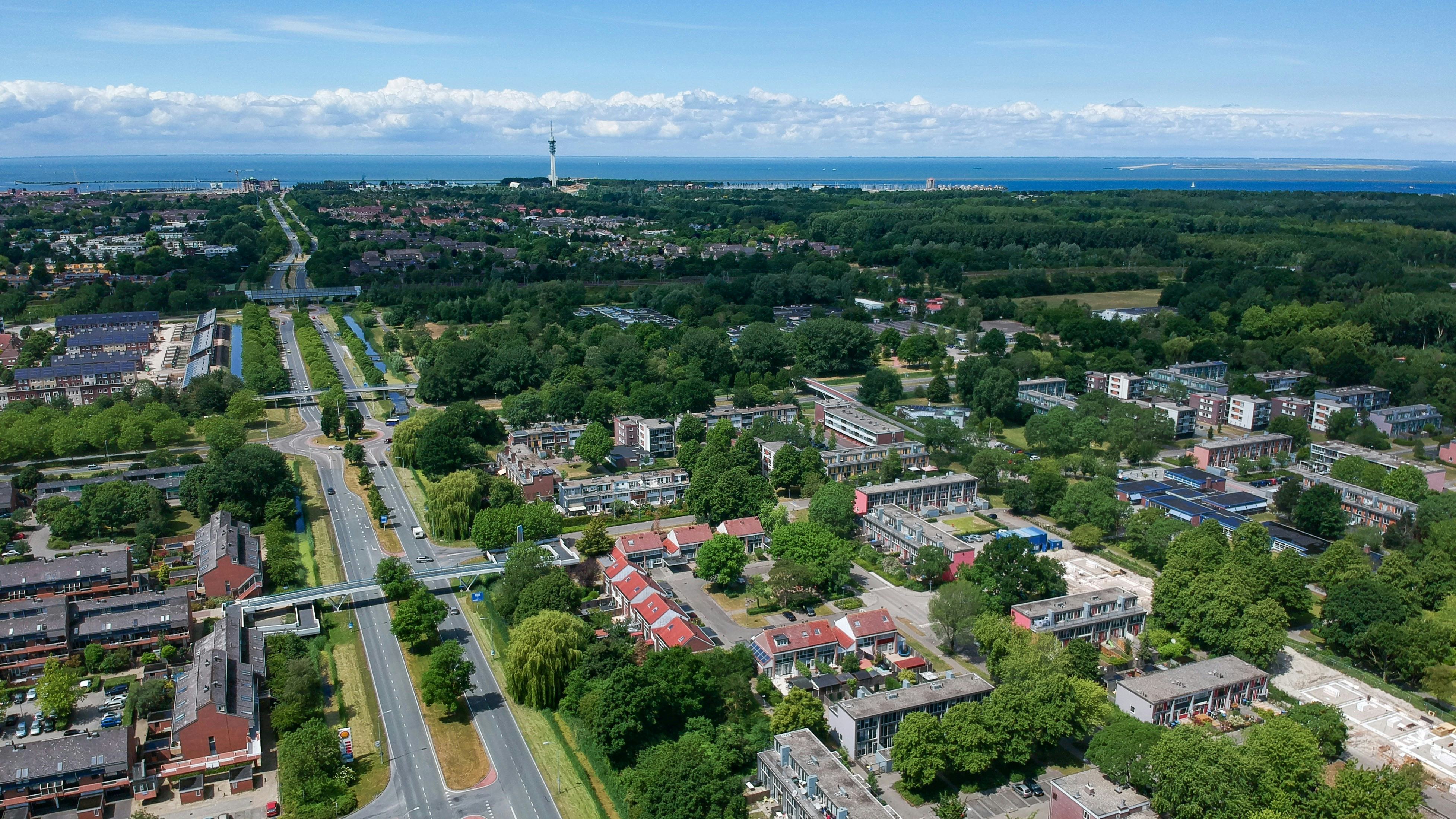 Foto: AVenZo - Ludo de Rooij / Shutterstock