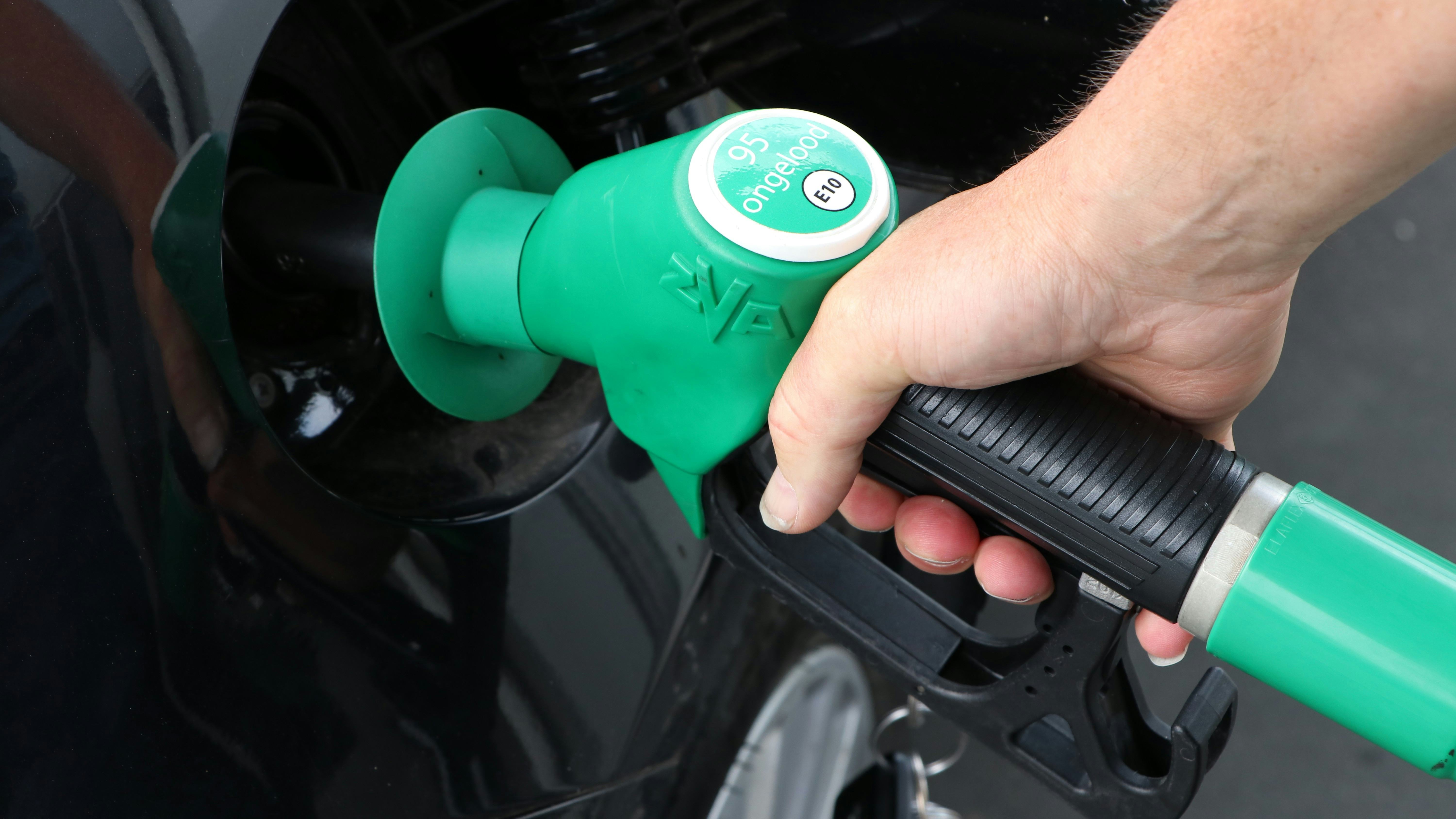 Foto: Jacqueline van Kerkhof / Shutterstock