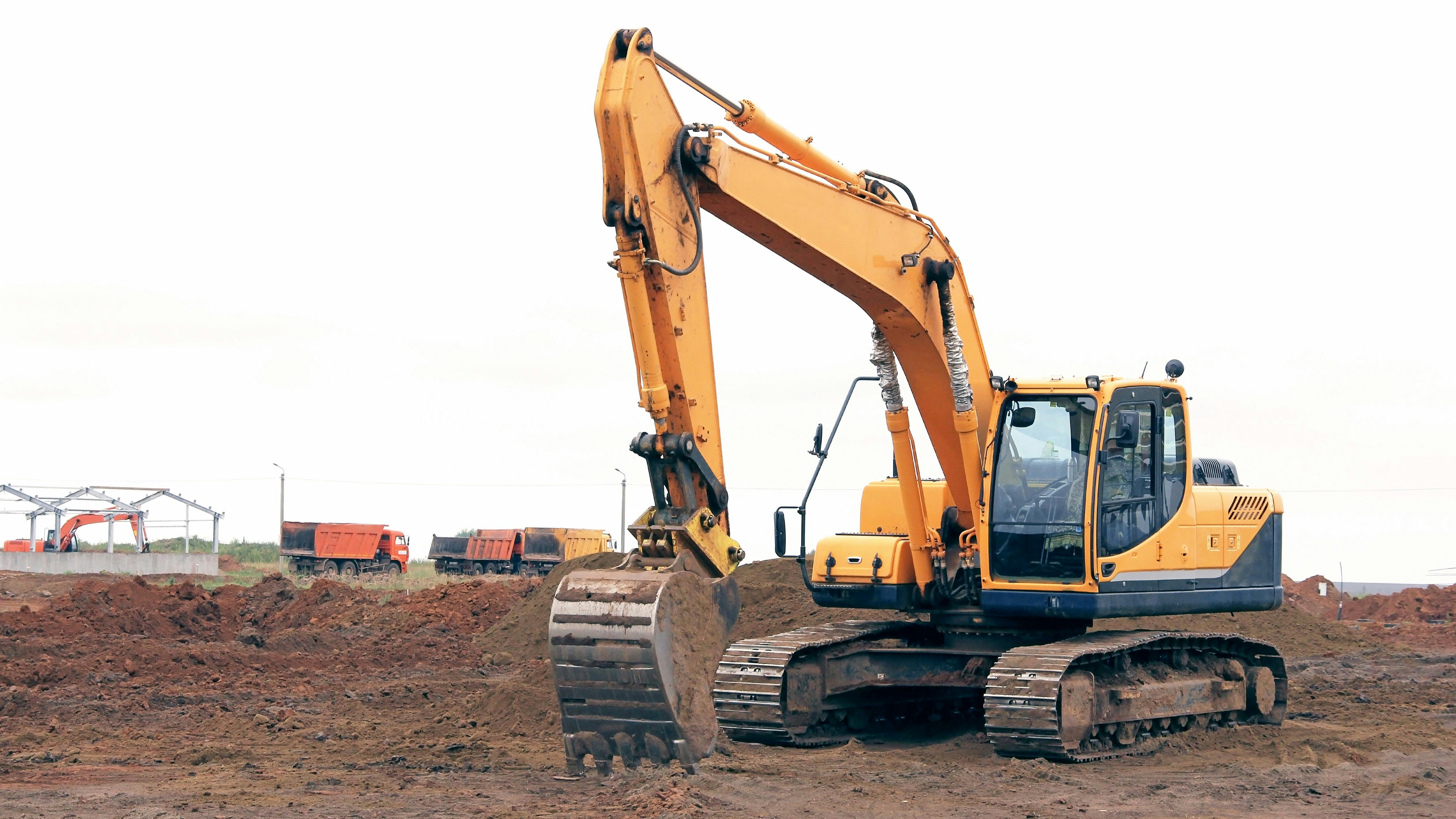 Foto: Myfotoprom / Shutterstock