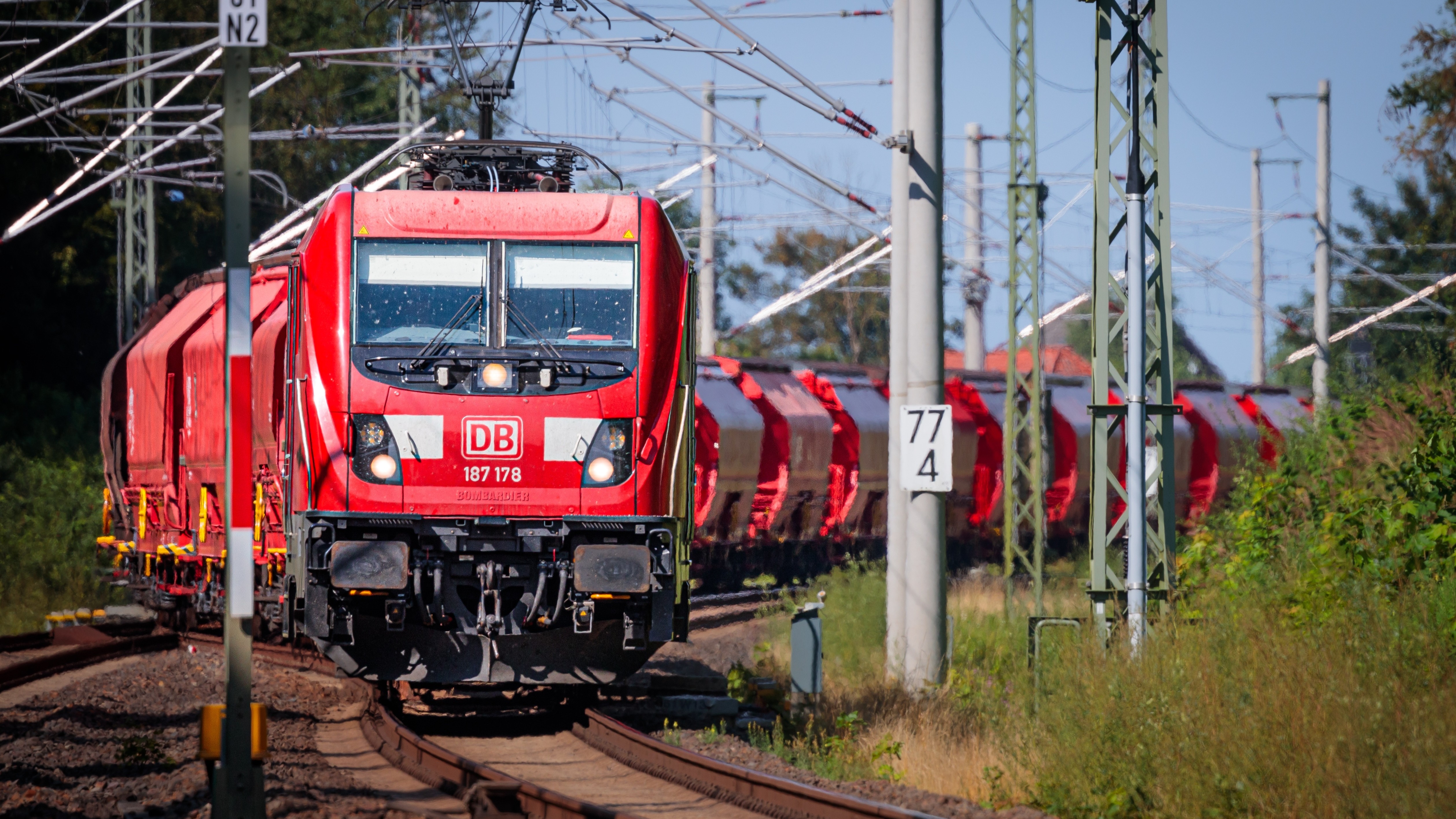 Foto: MihailC95 / Shutterstock