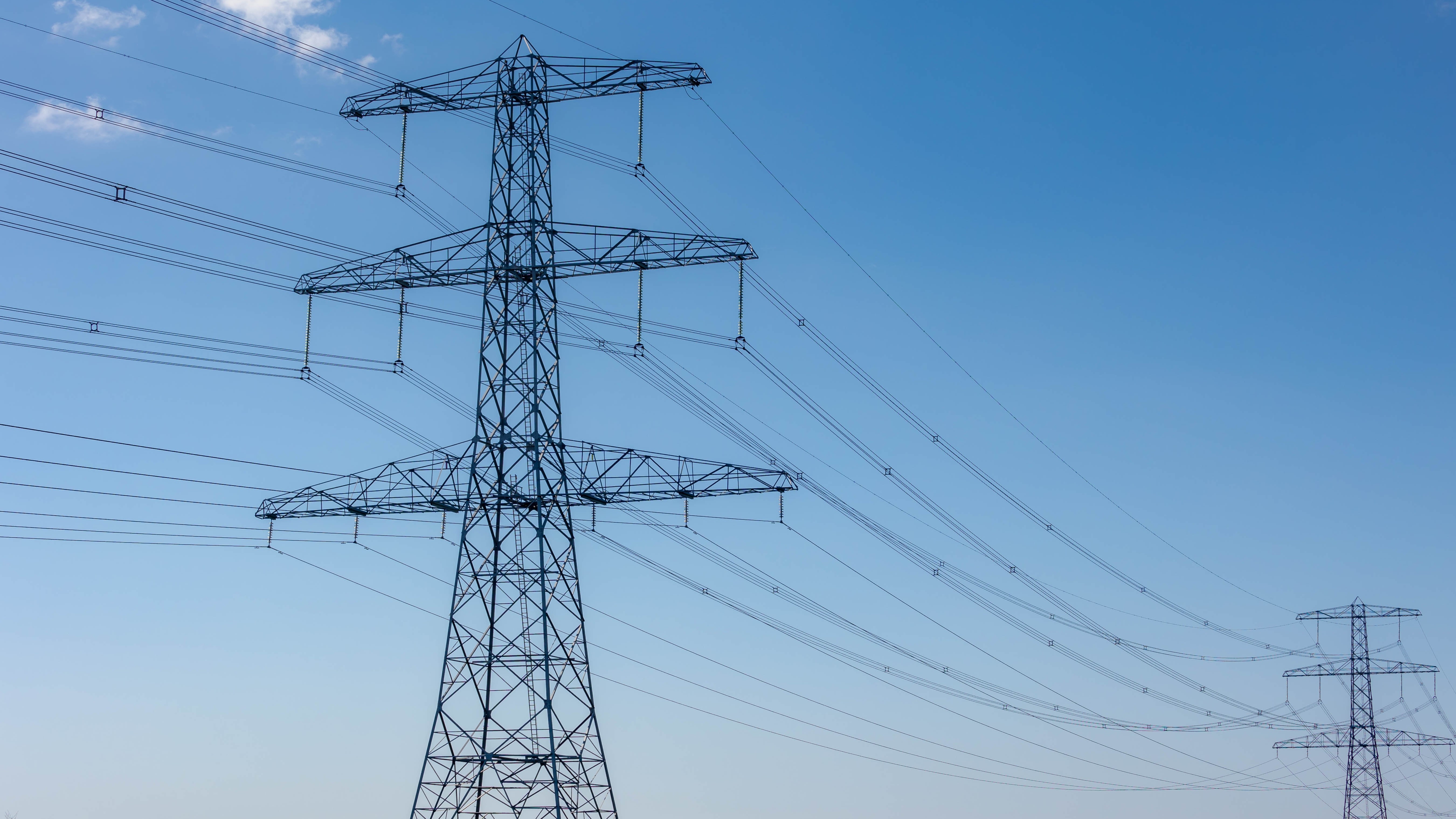 Foto: Wut_Moppie / Shutterstock