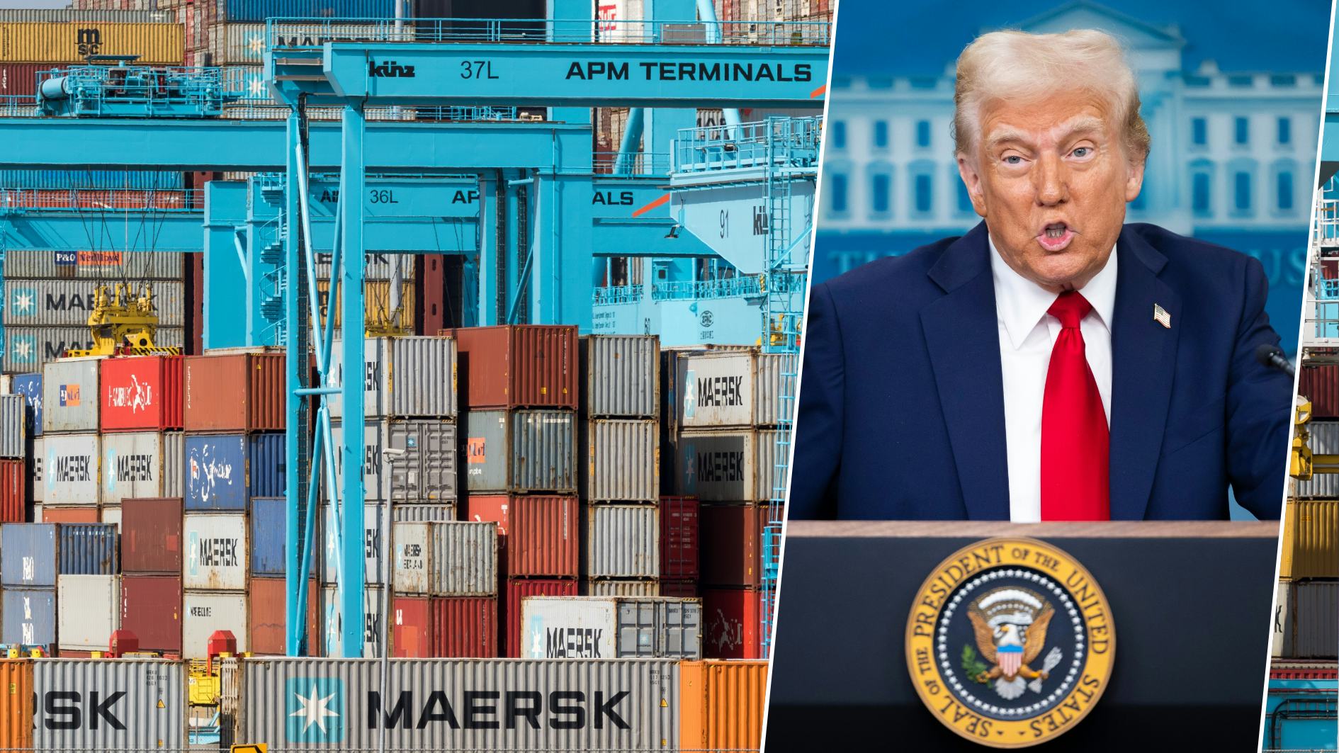 Foto: VanderWolf Images & Joshua Sukoff / Shutterstock