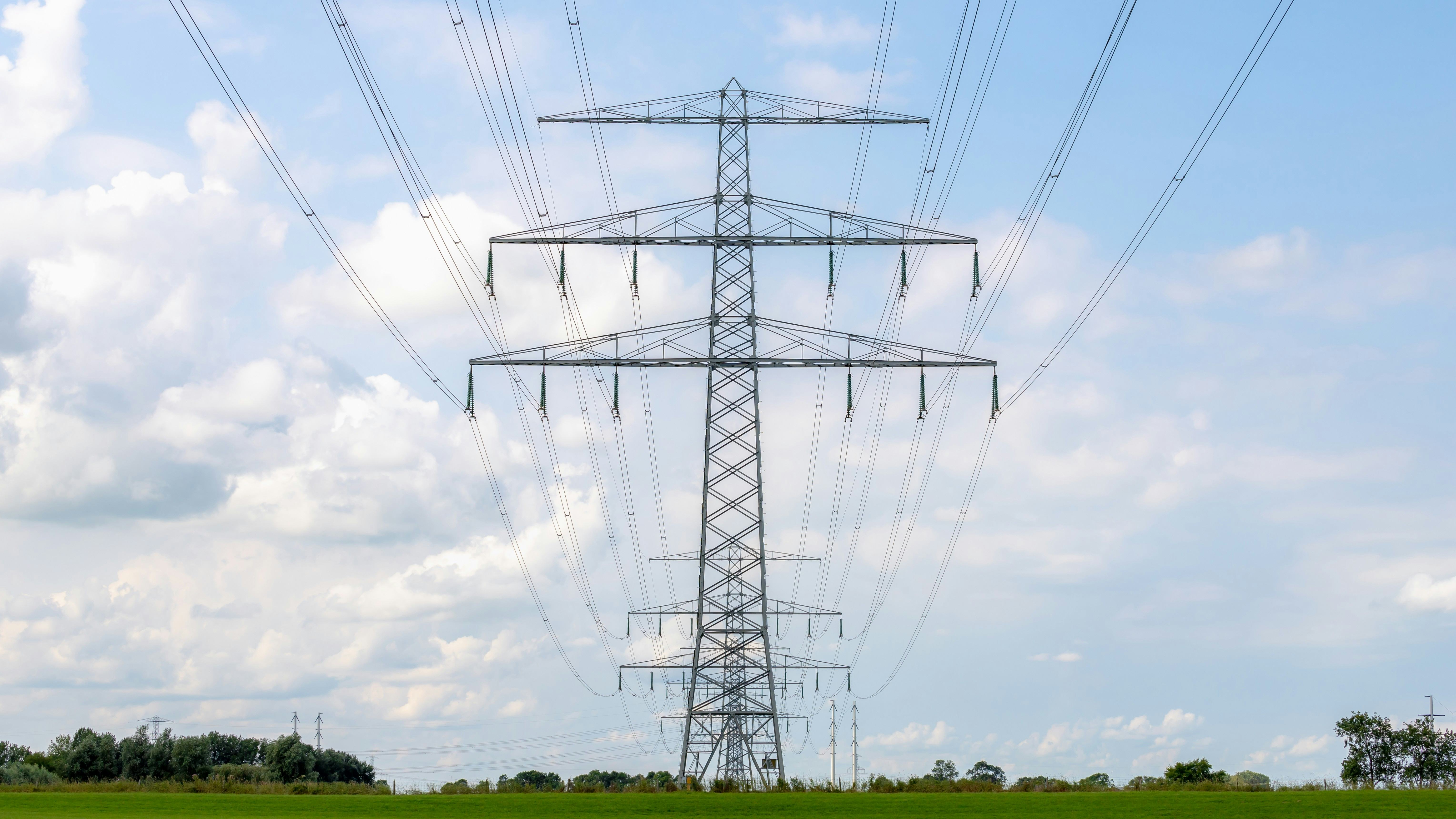 Foto: Wut_Moppie / Shutterstock