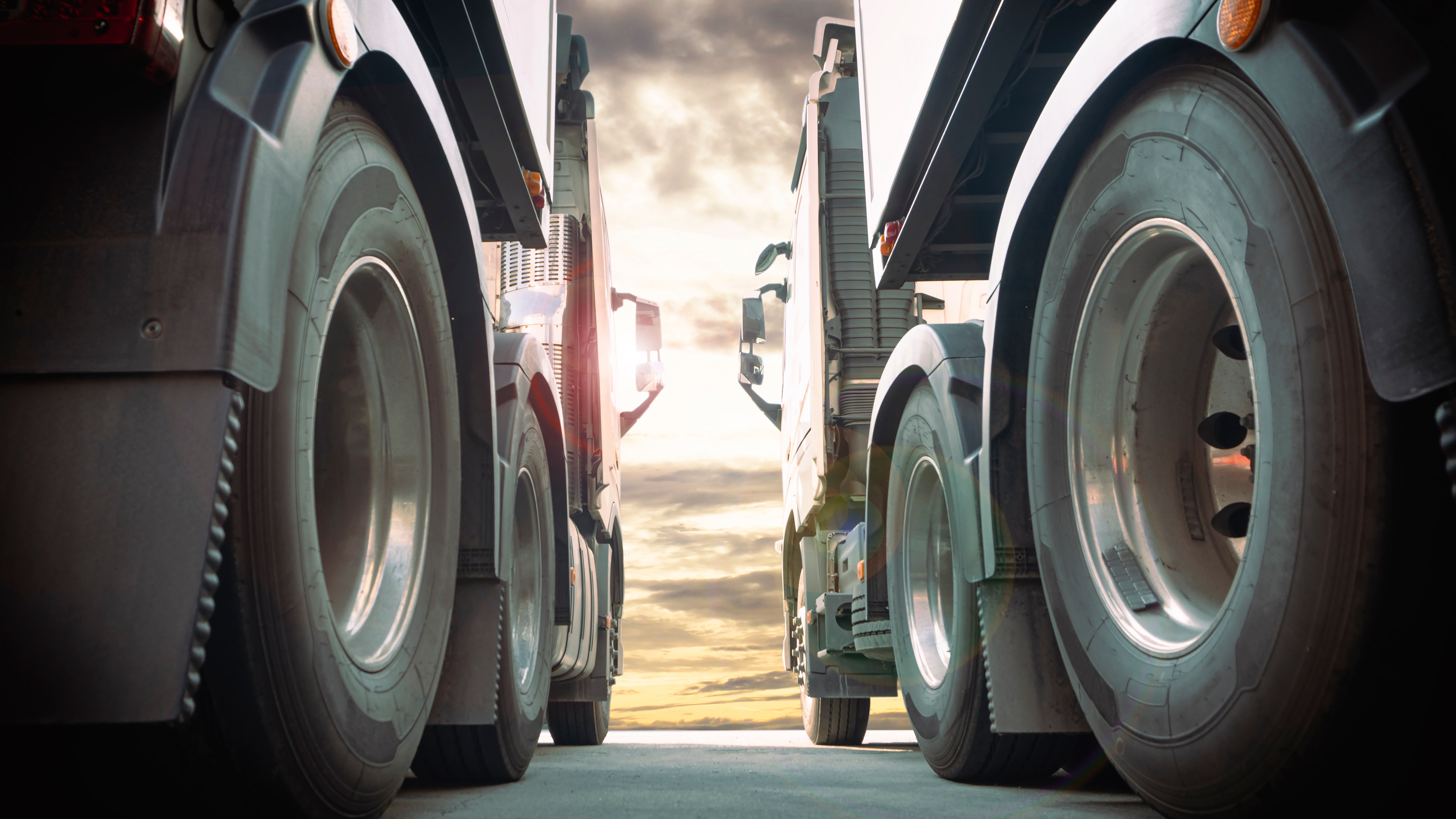 Foto: Siwakorn1933 / Shutterstock