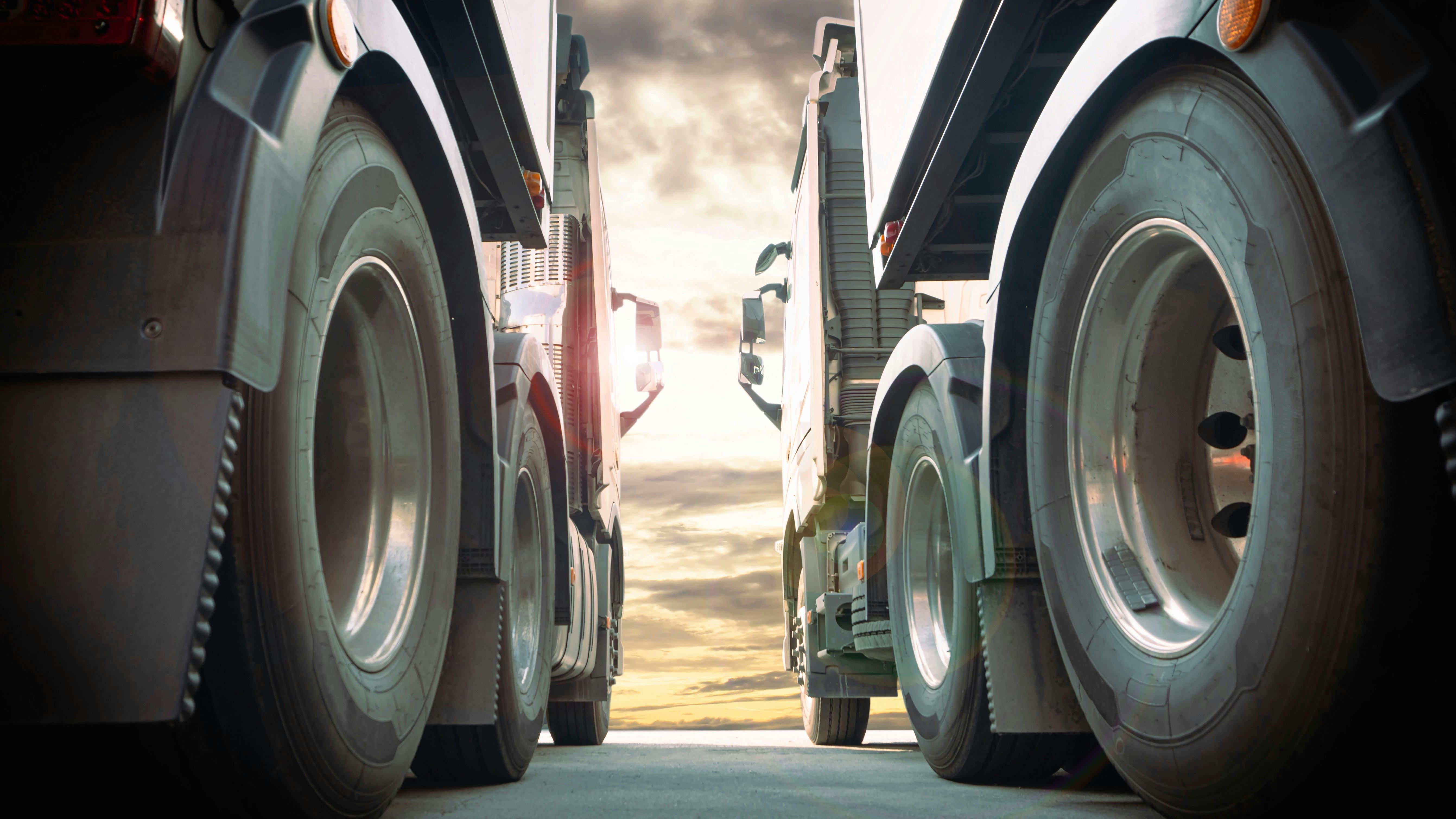 Foto: Siwakorn1933 / Shutterstock