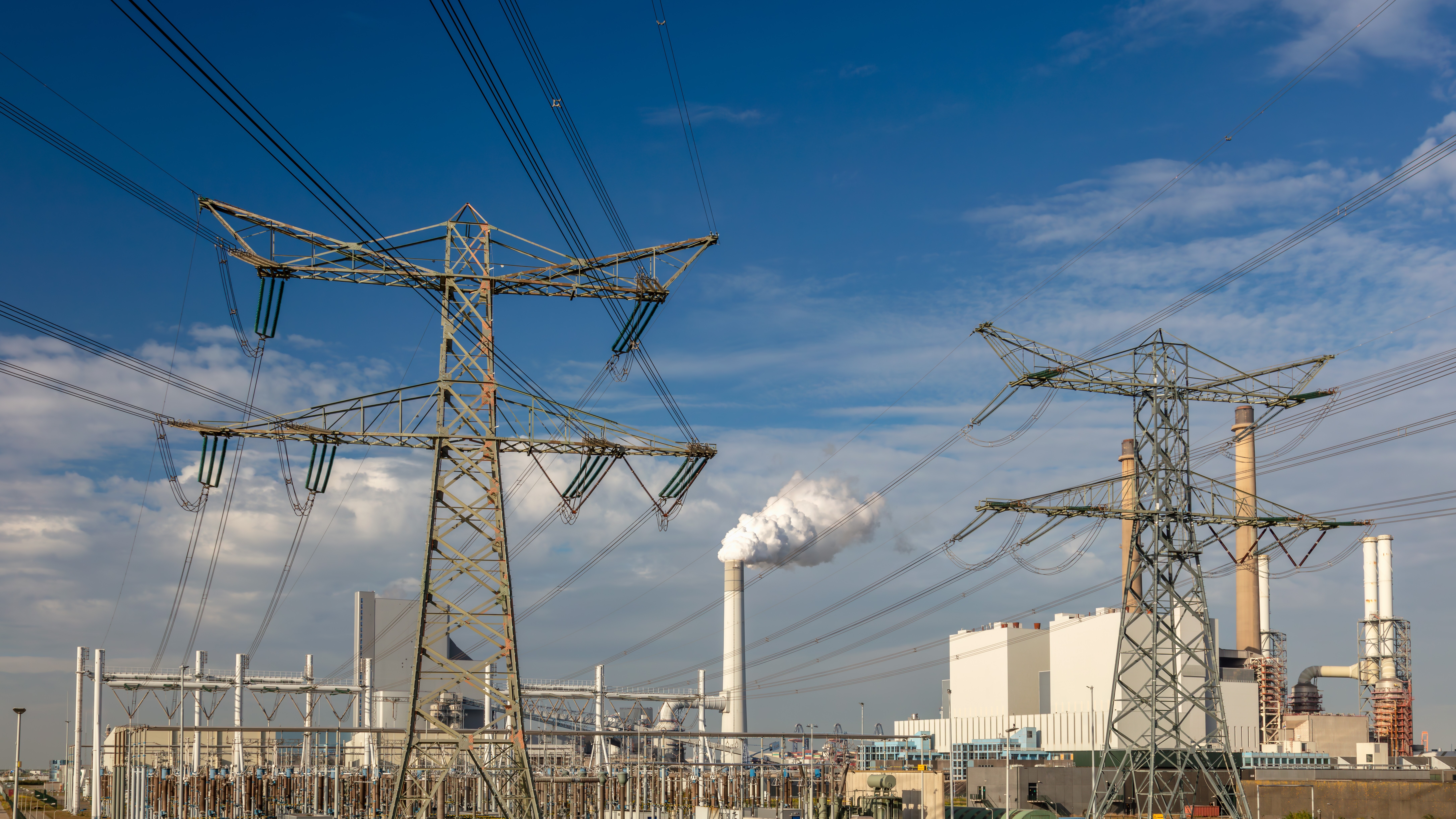 Foto: Martin Bergsma / Shutterstock