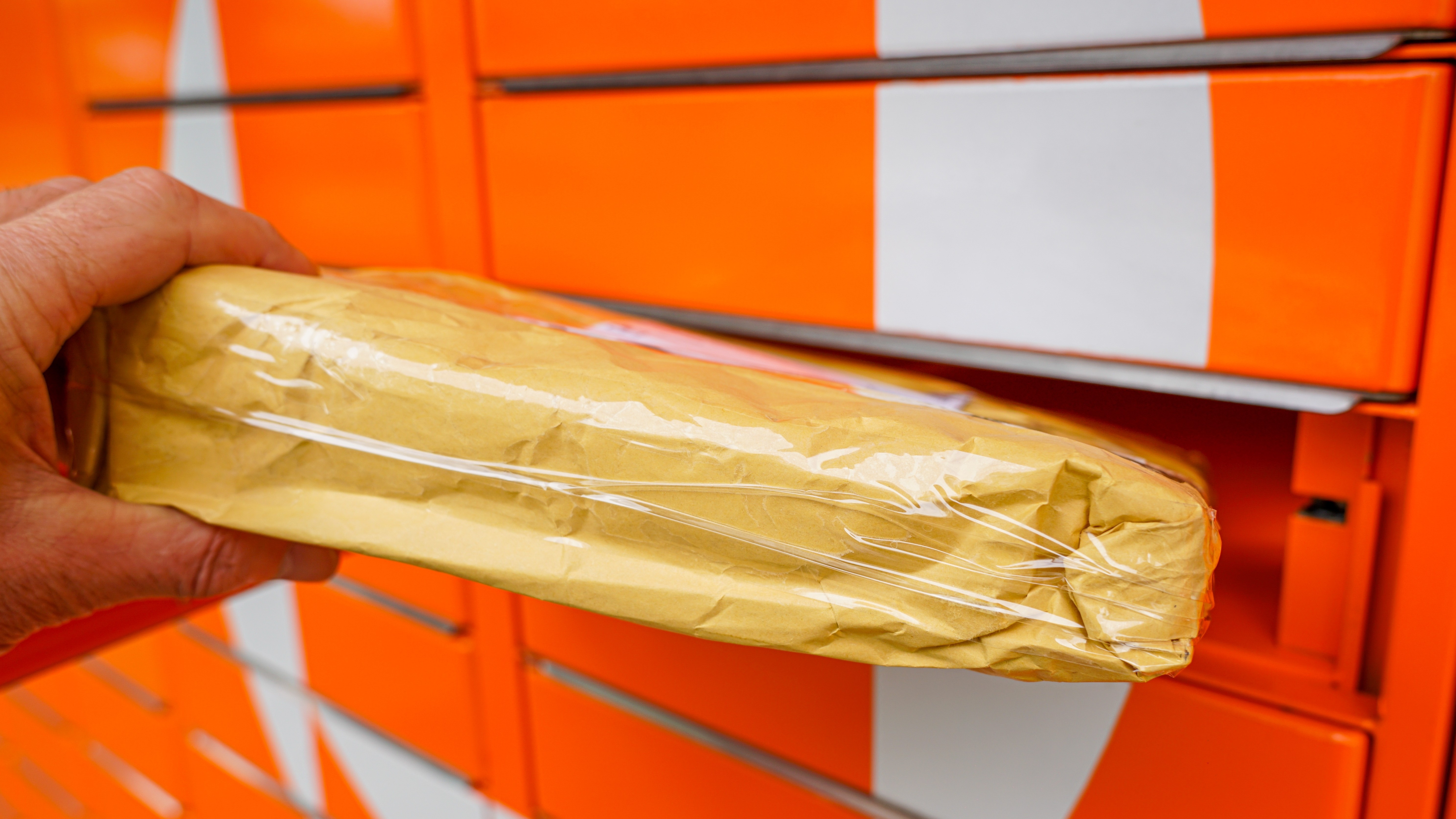 Foto: Zigmunds Dizgalvis / Shutterstock