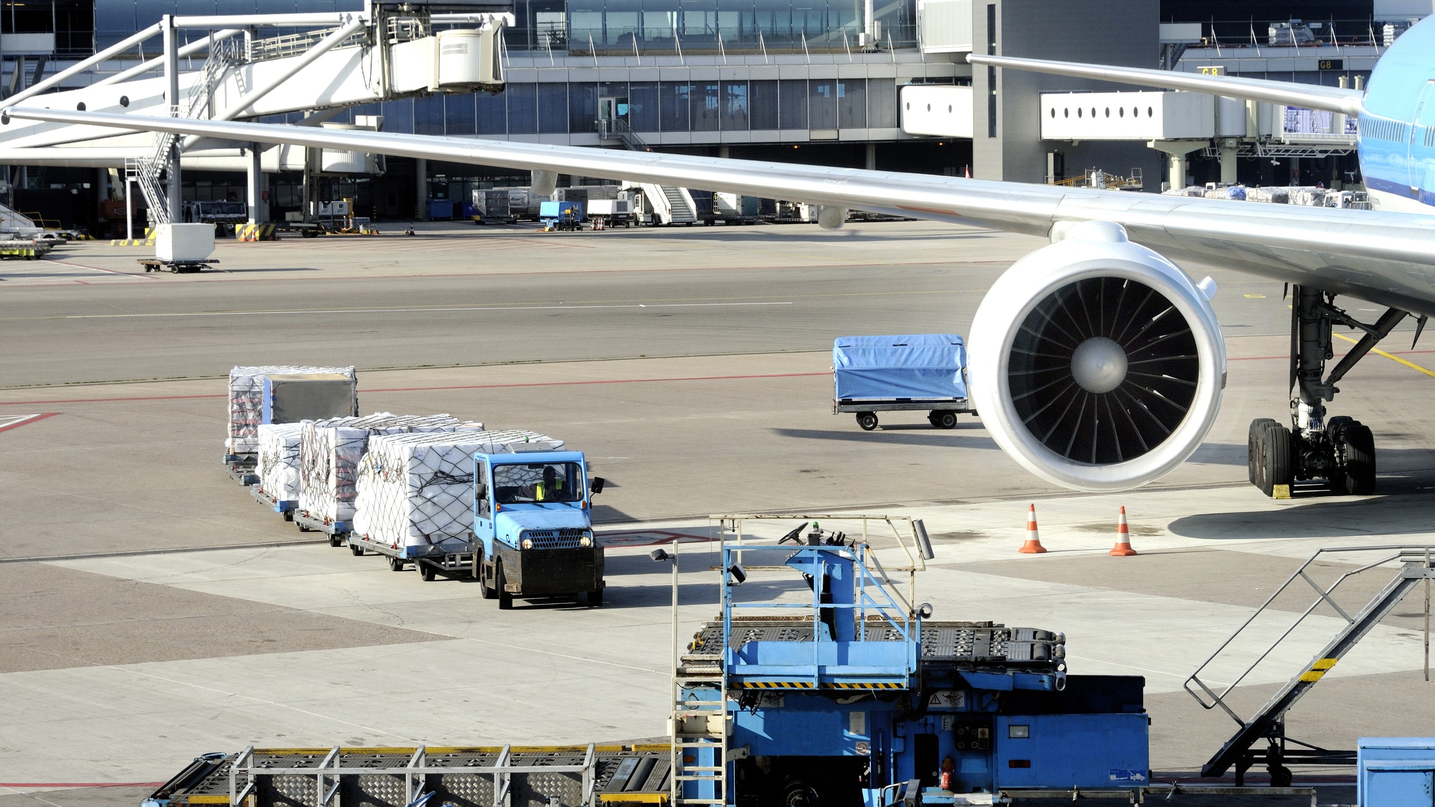 Foto: robert paul van beets / Shutterstock