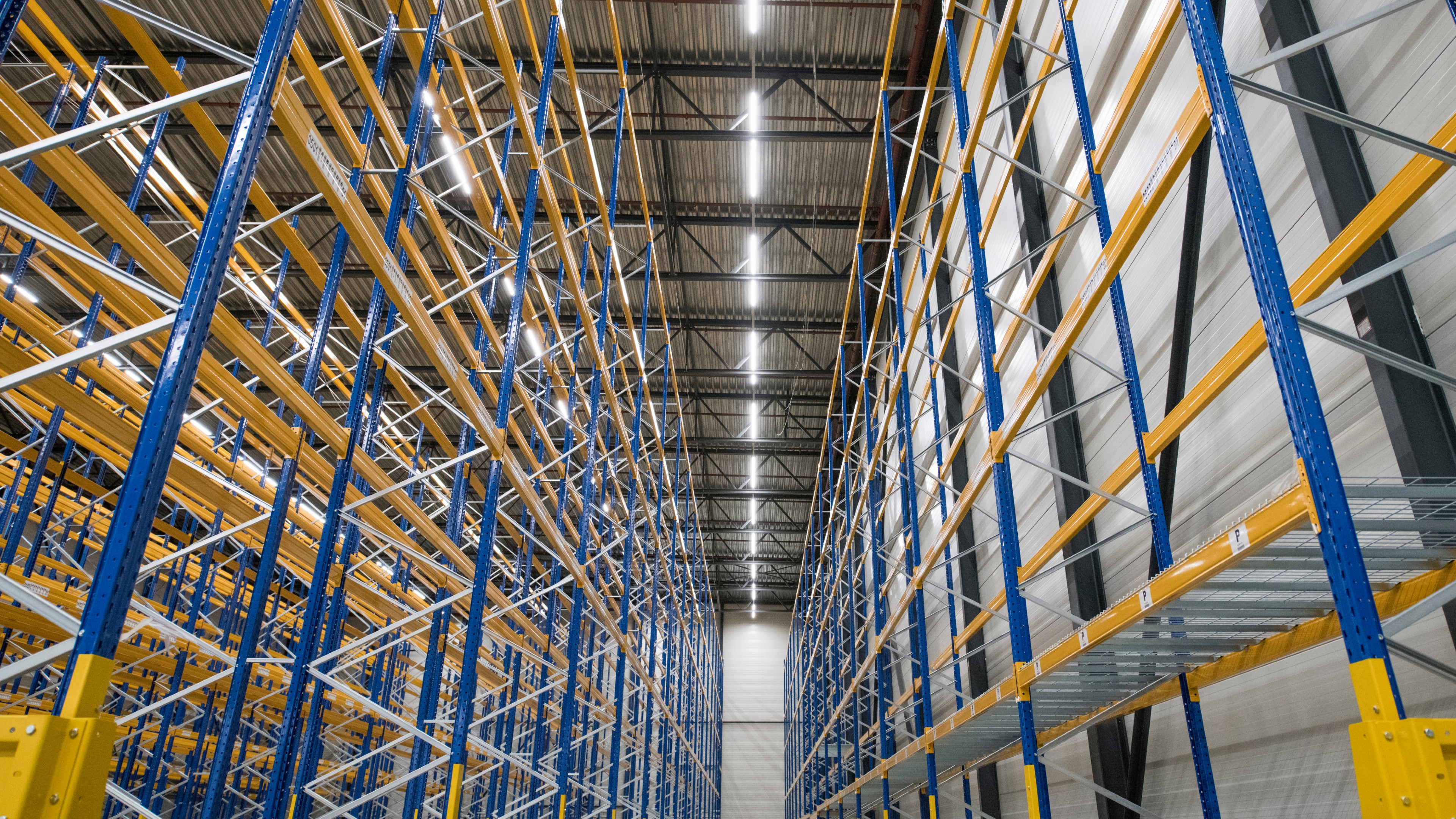 Foto: Ruurd Jellema / Shutterstock