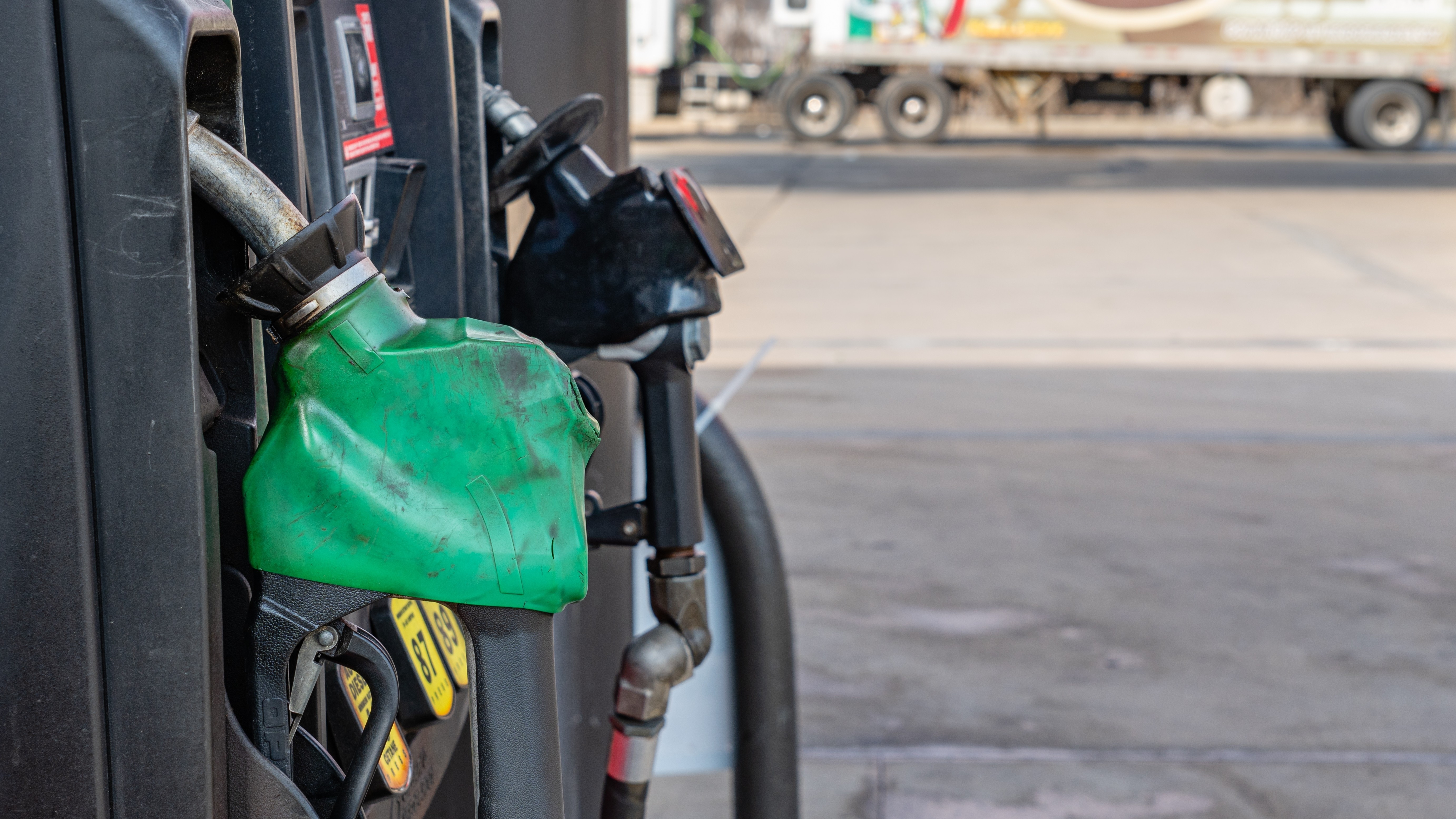 Foto: Heidi Besen / Shutterstock