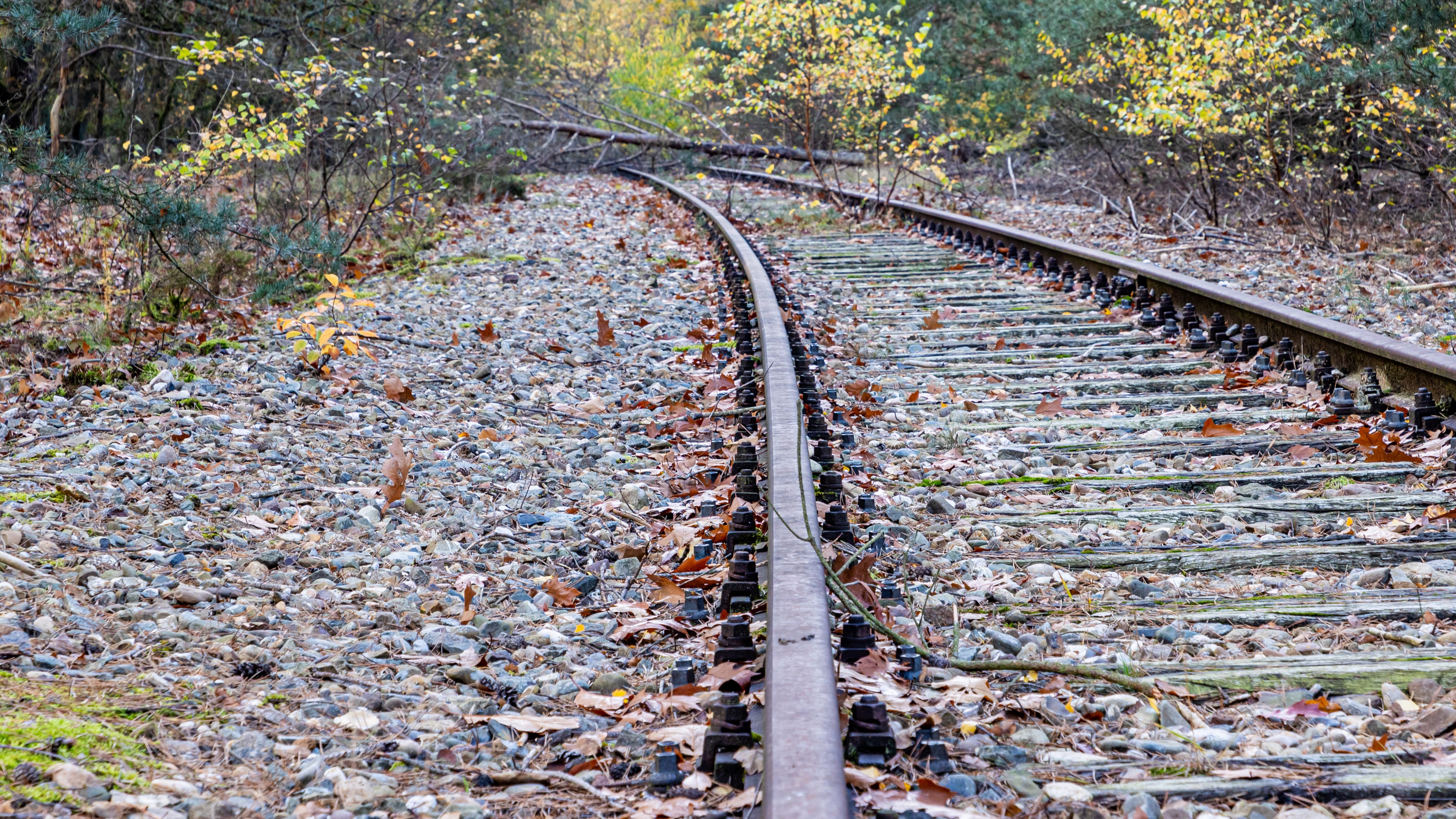 Foto: Foto Para Ti / Shutterstock