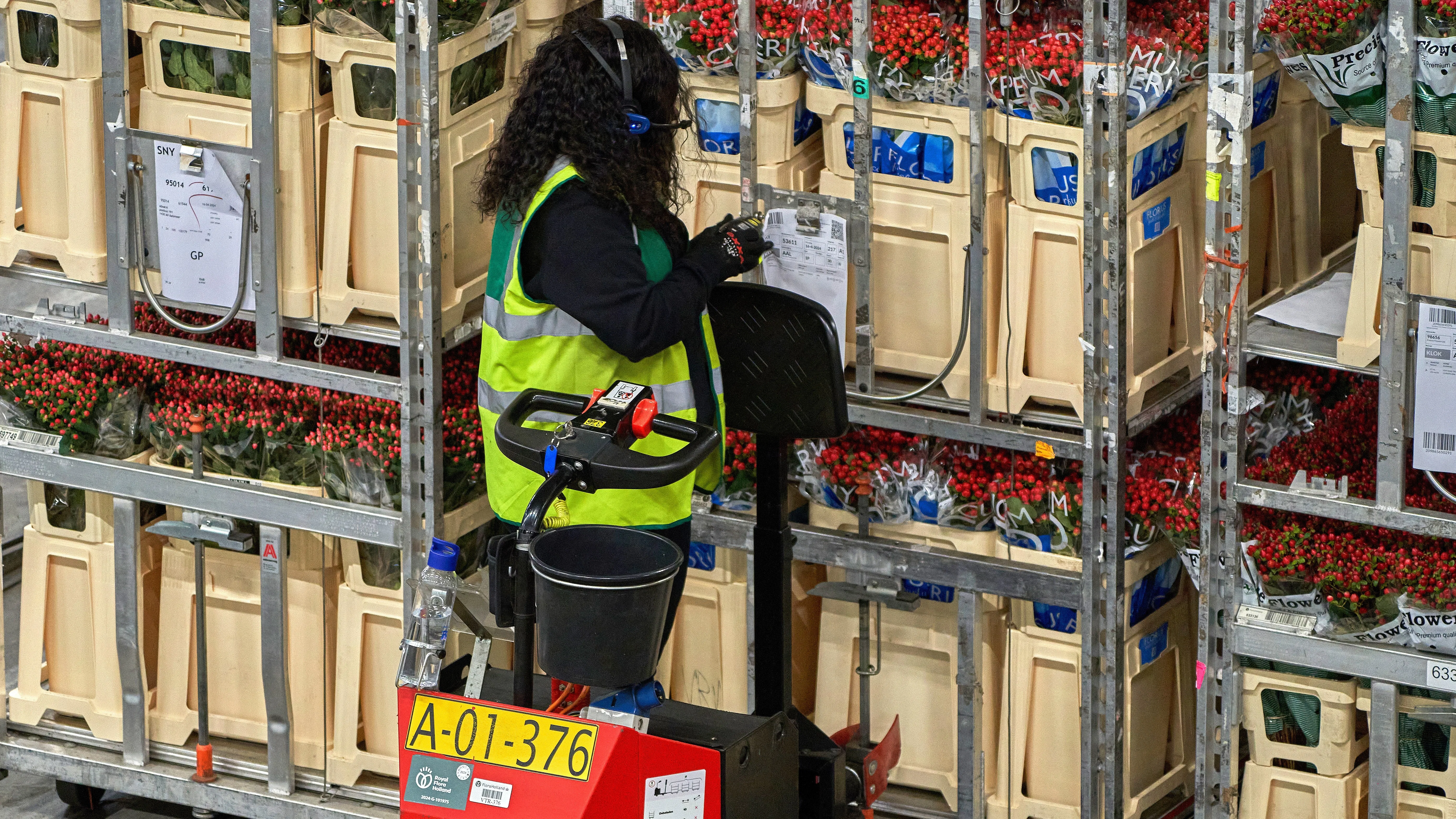 Foto: Yuri Turkov/Shutterstock