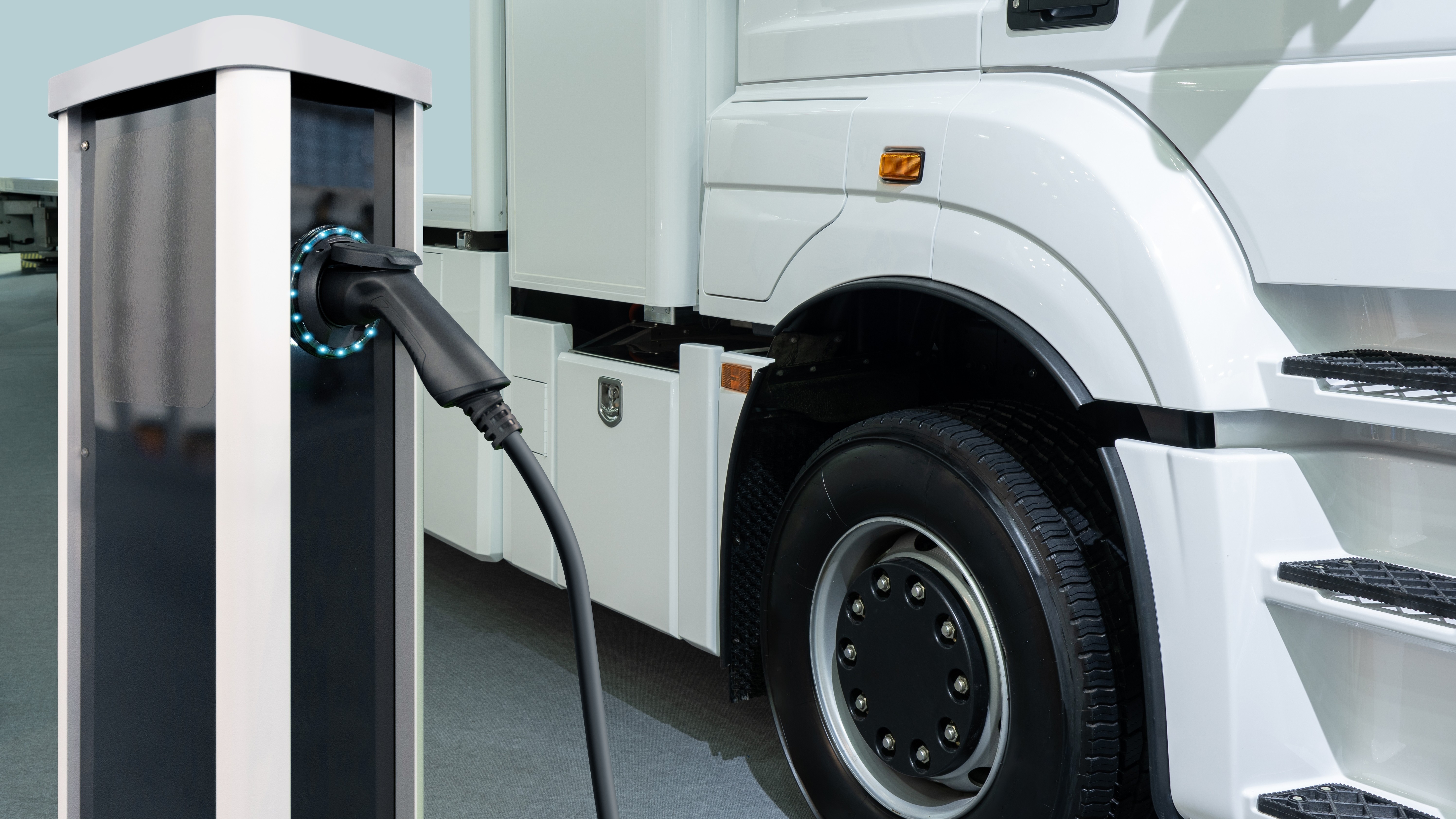 Foto: Scharfsinn / Shutterstock
