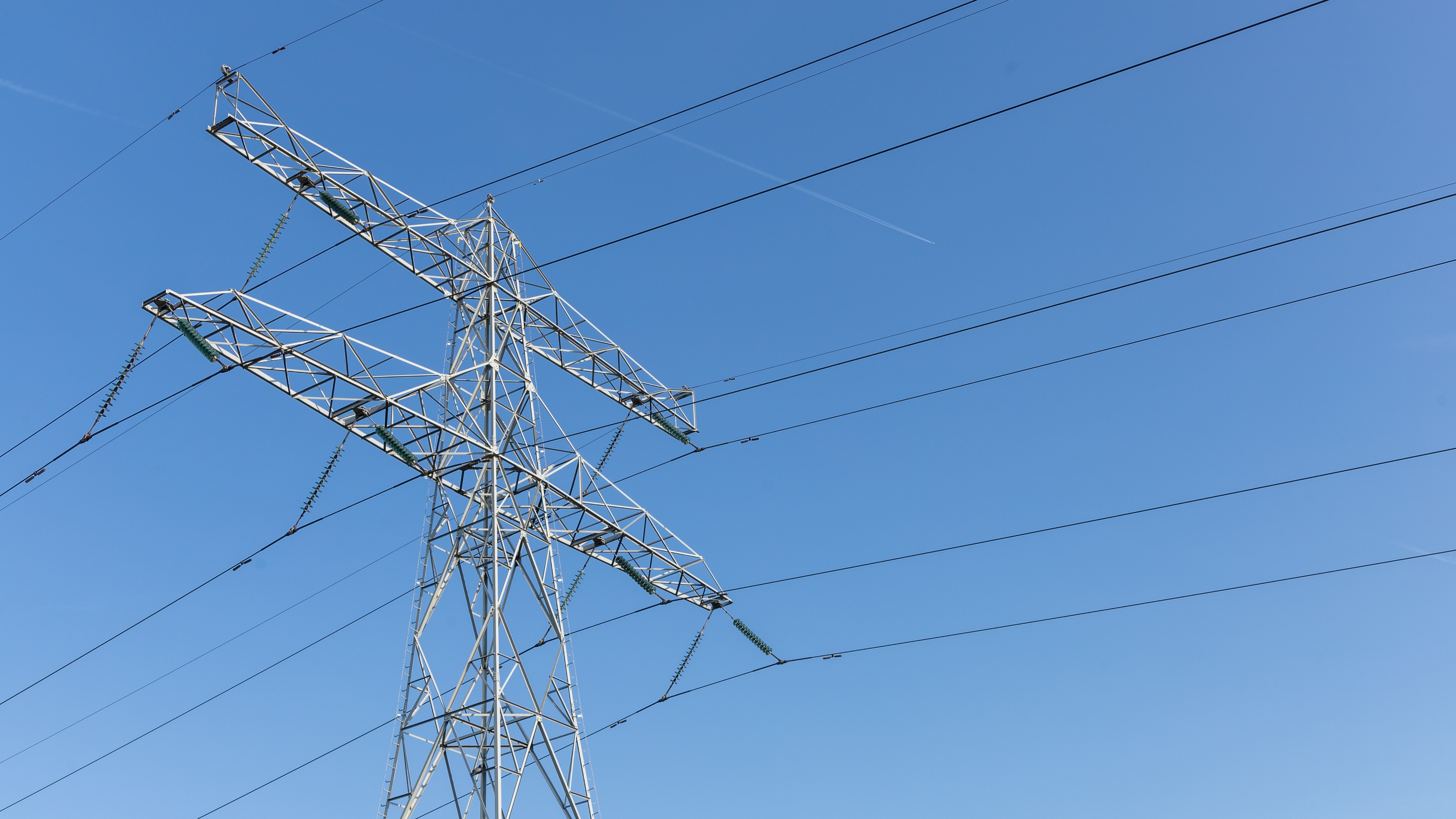 Foto: PixelBiss / Shutterstock