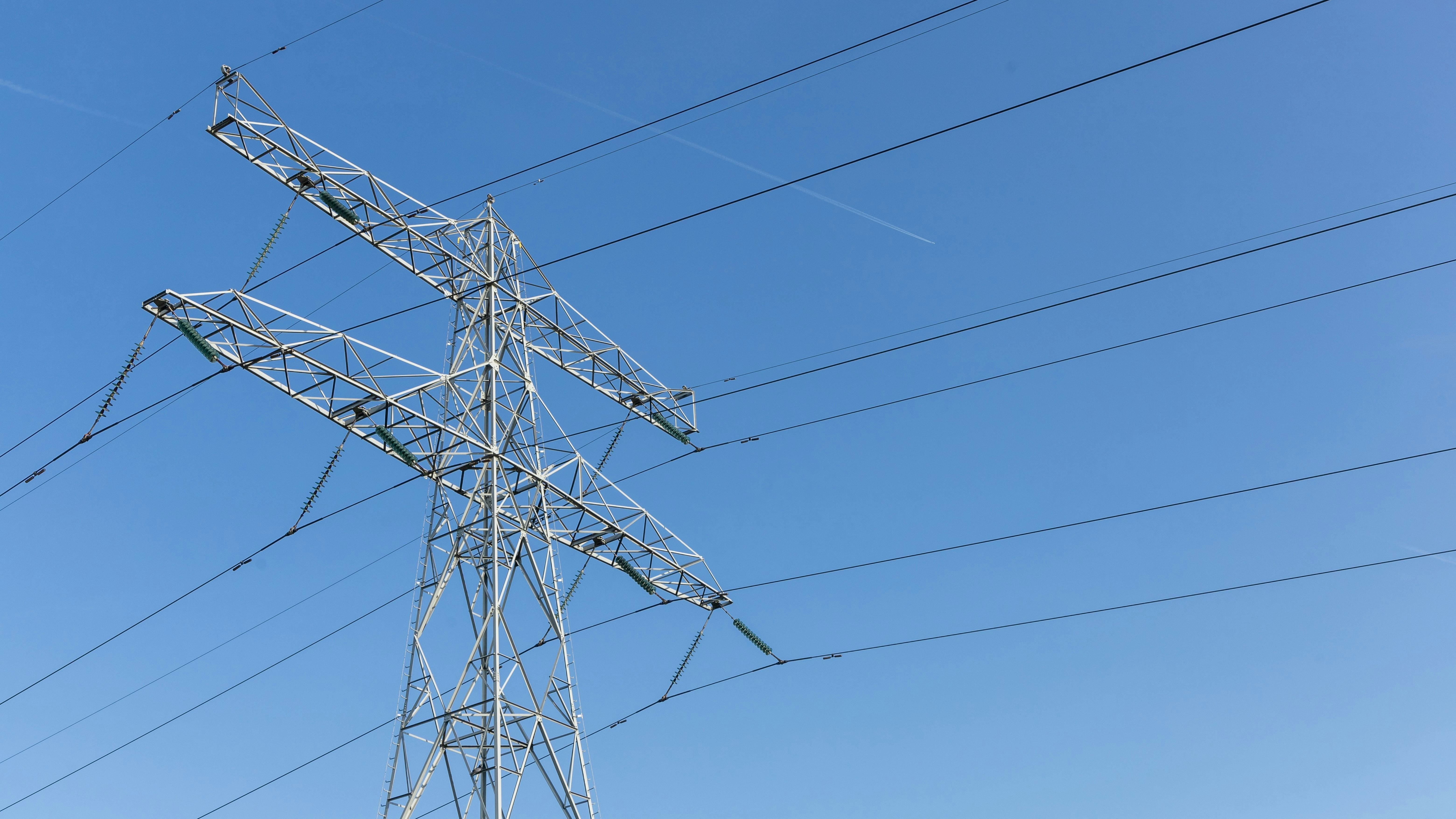 Foto: PixelBiss / Shutterstock