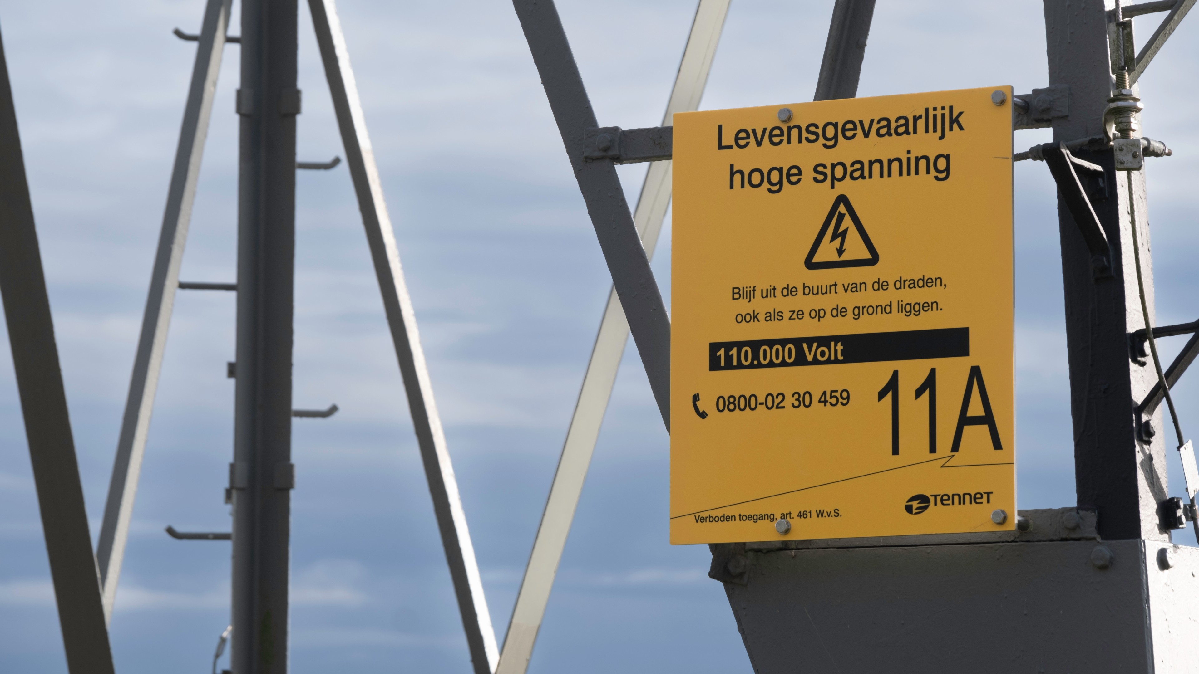 Foto: Henk Vrieselaar / Shutterstock