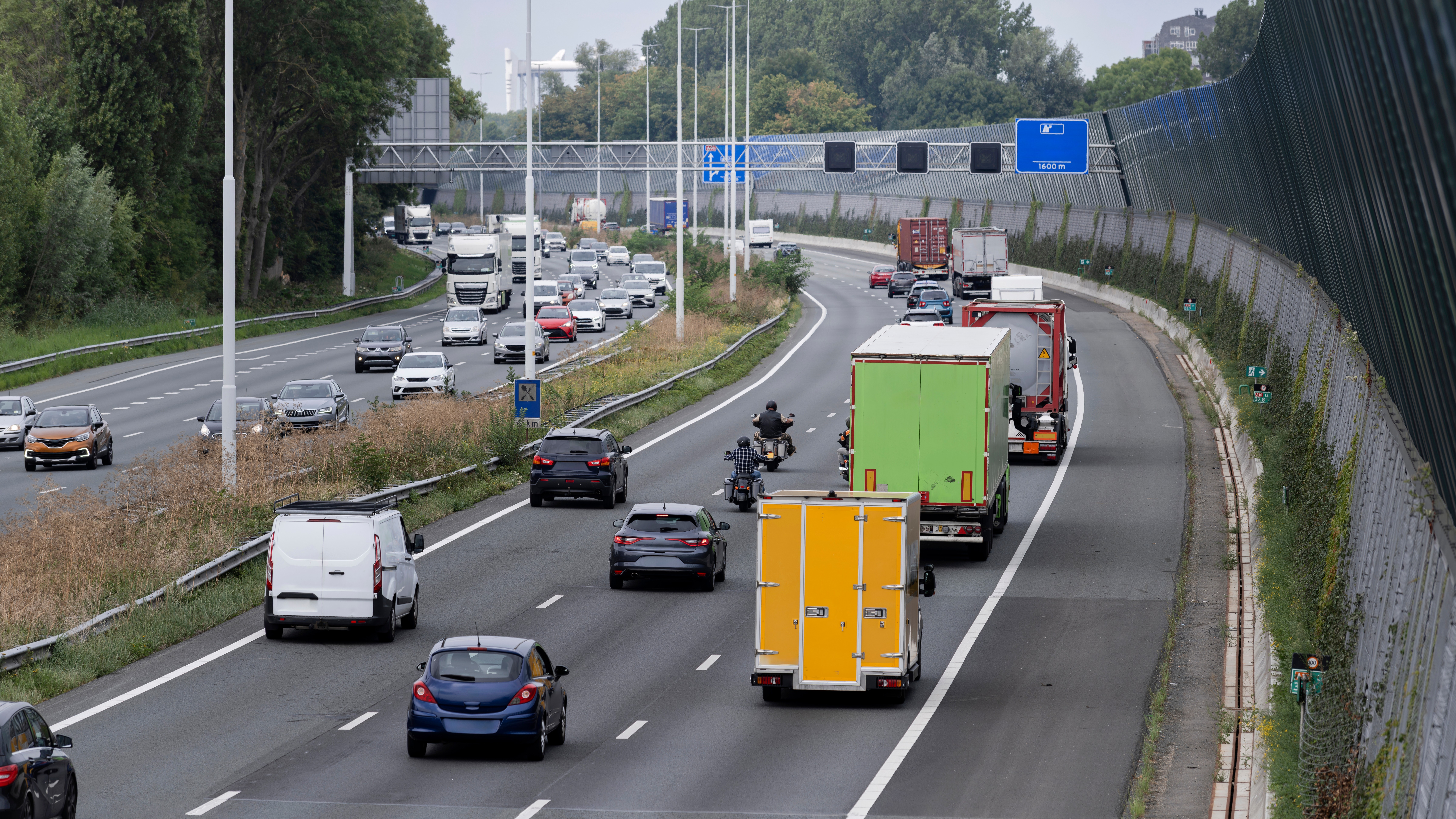 Foto: Mcklin / Shutterstock