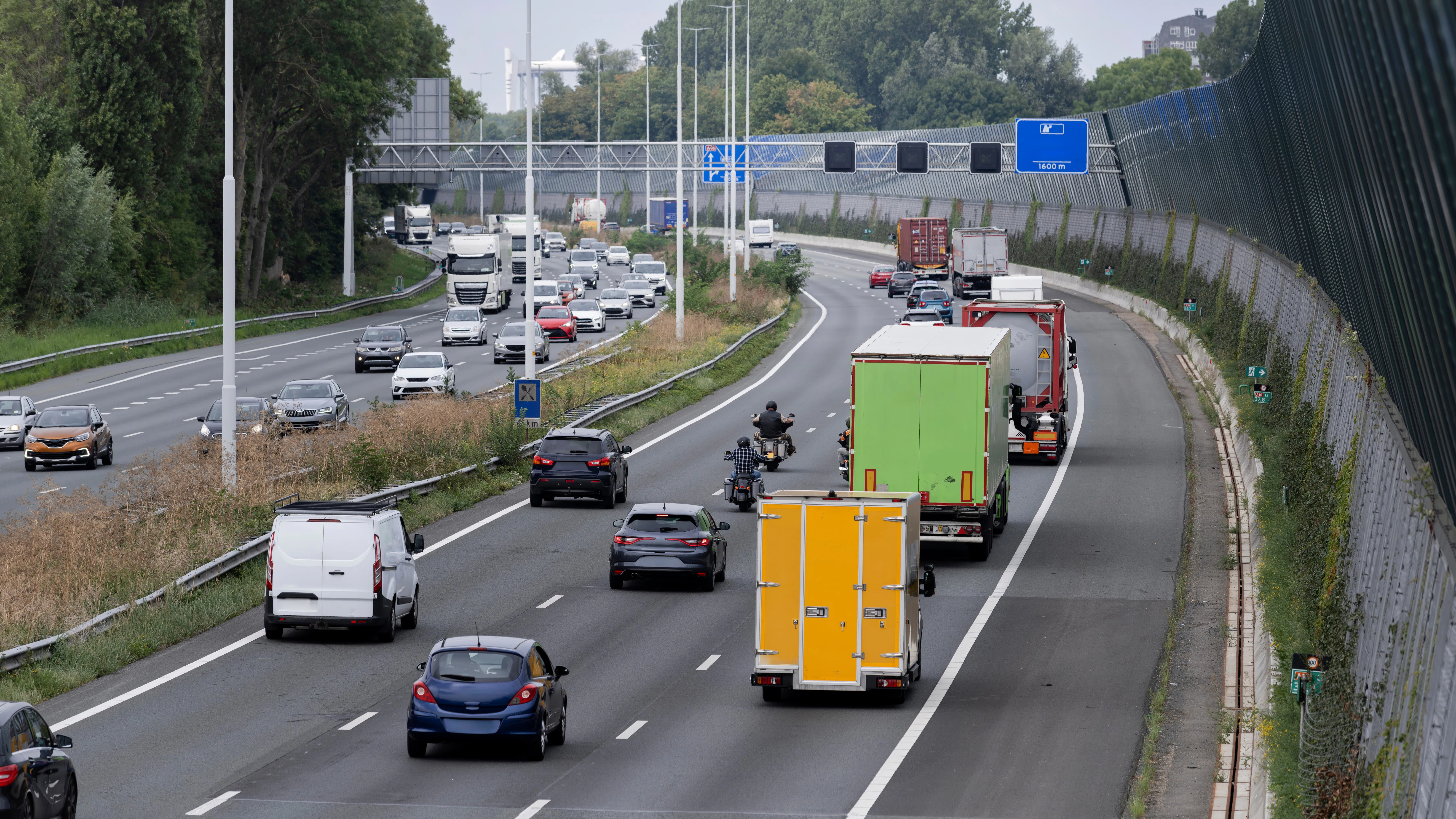 Foto: Mcklin / Shutterstock