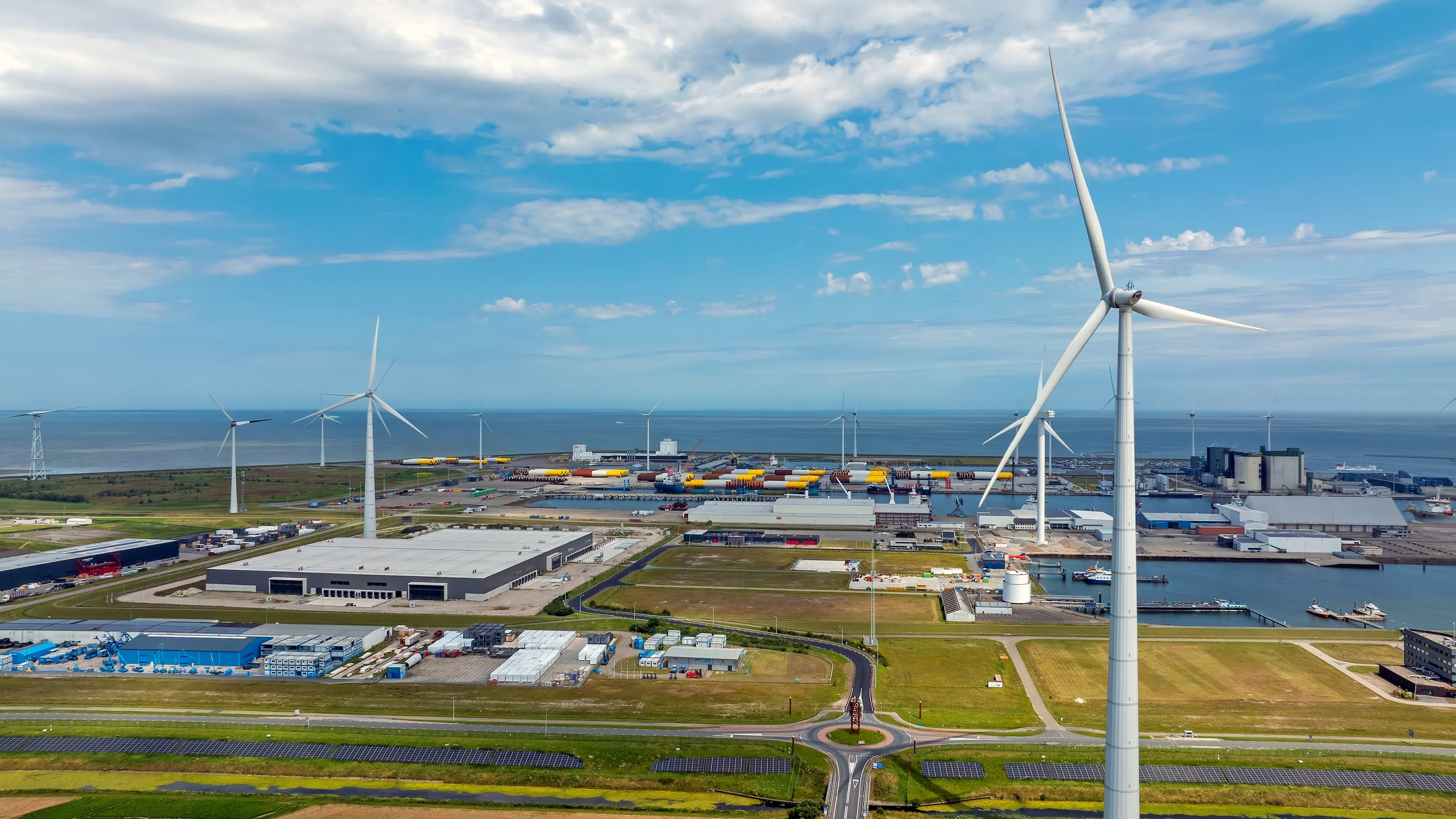 Foto: Steve Photography / Shutterstock