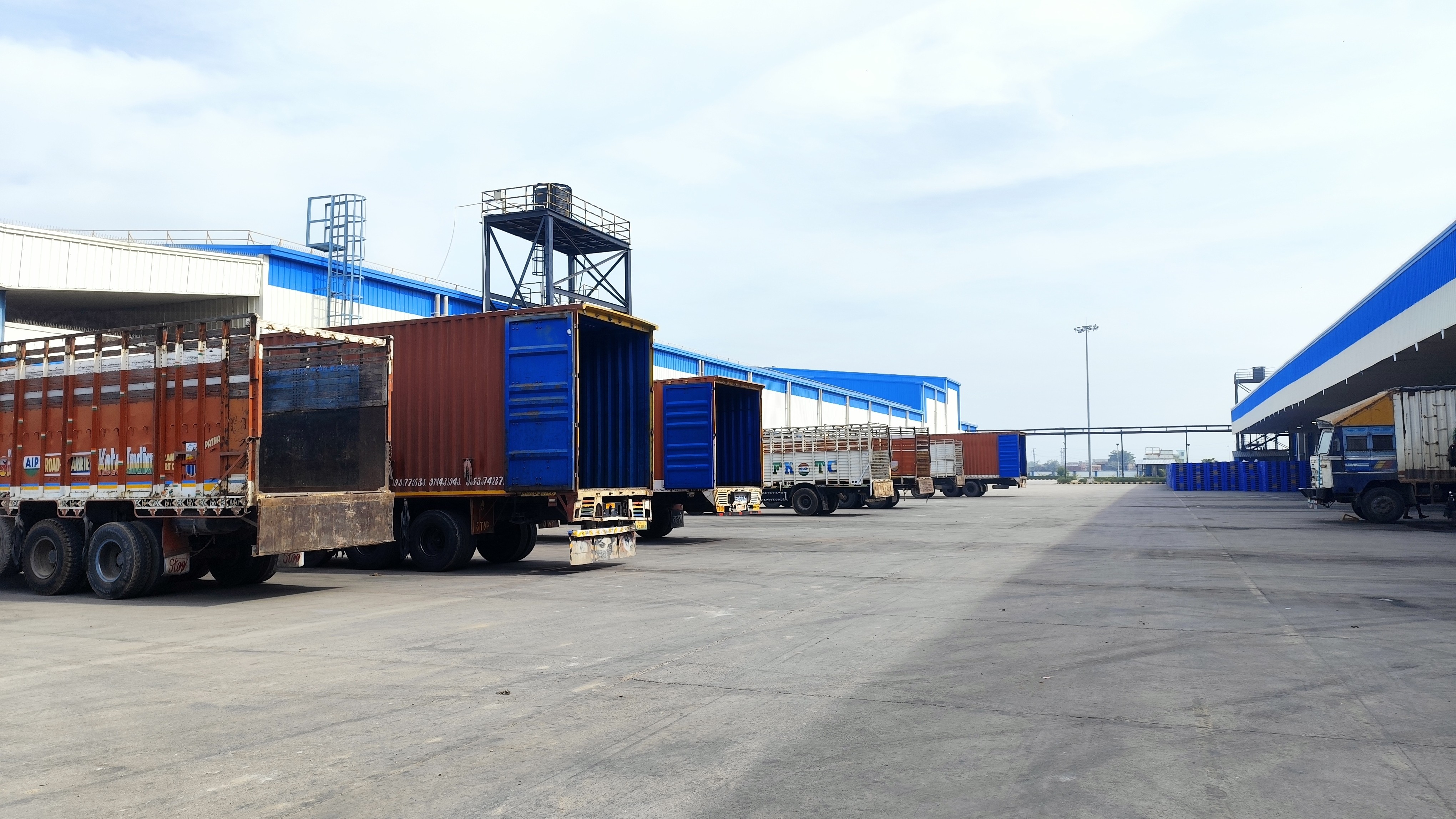 Foto: dilip singh000 / Shutterstock