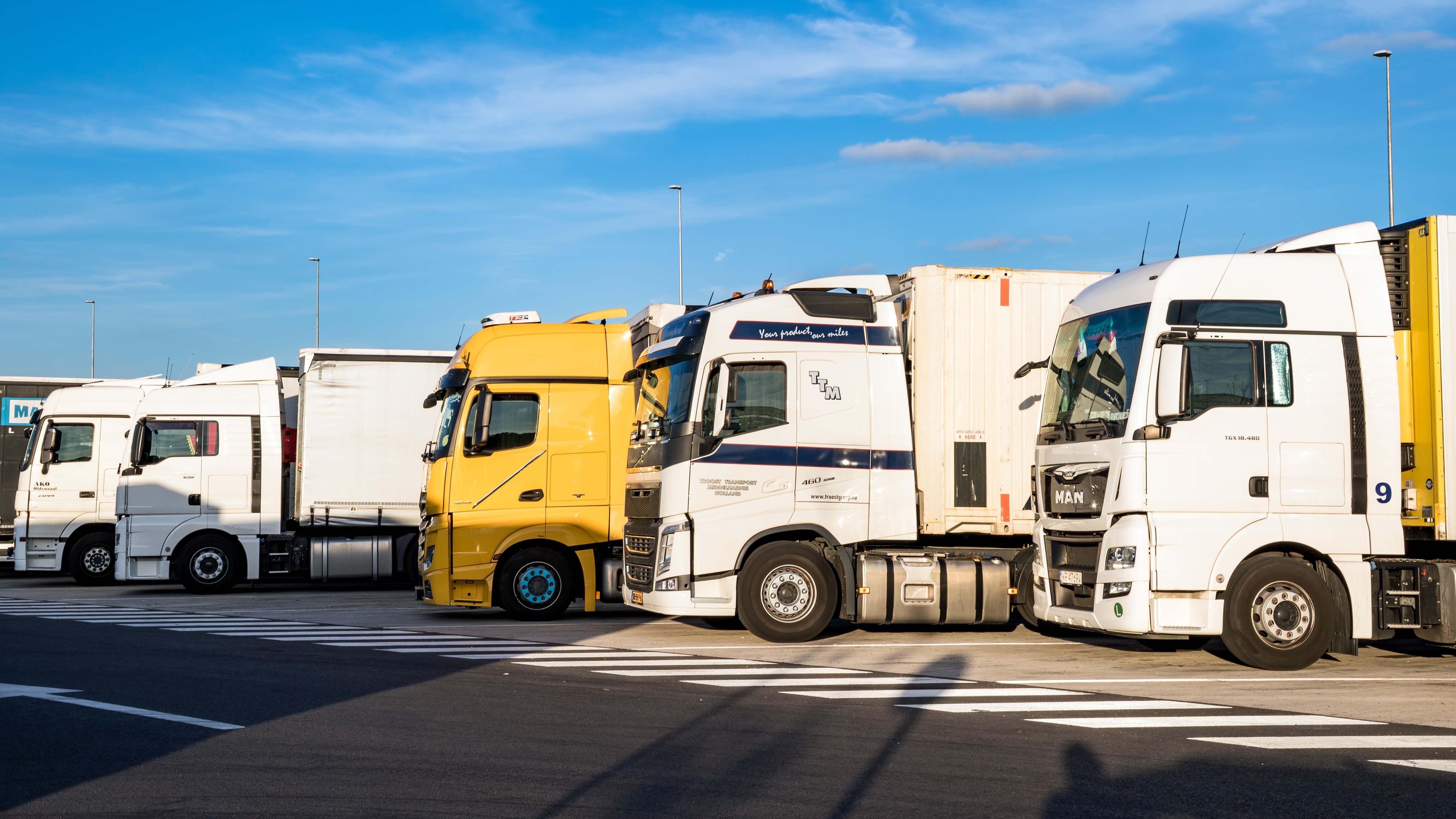 Foto: VanderWolf Images/Shutterstock