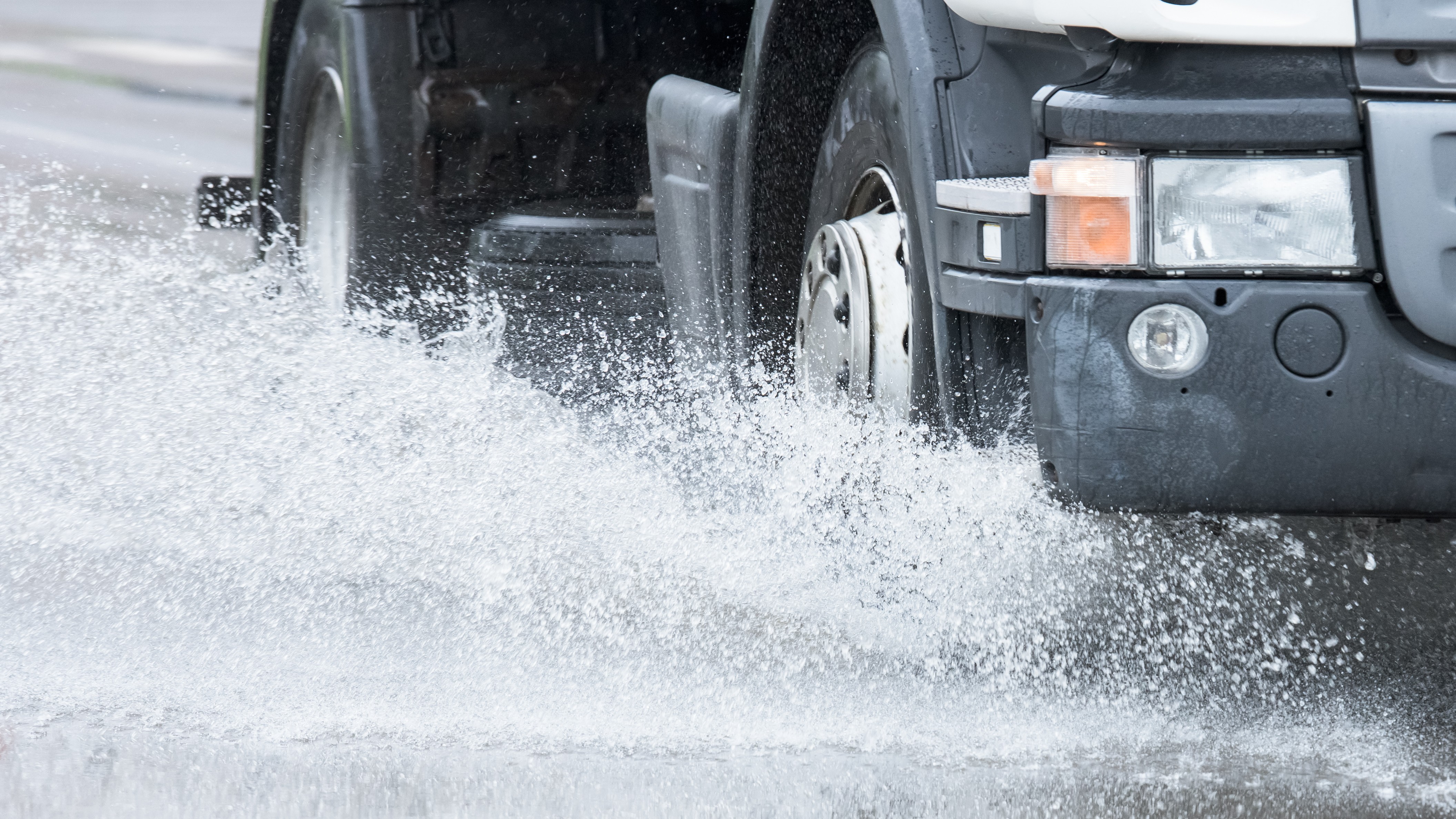 Foto: Dmitry Bruskov / Shutterstock