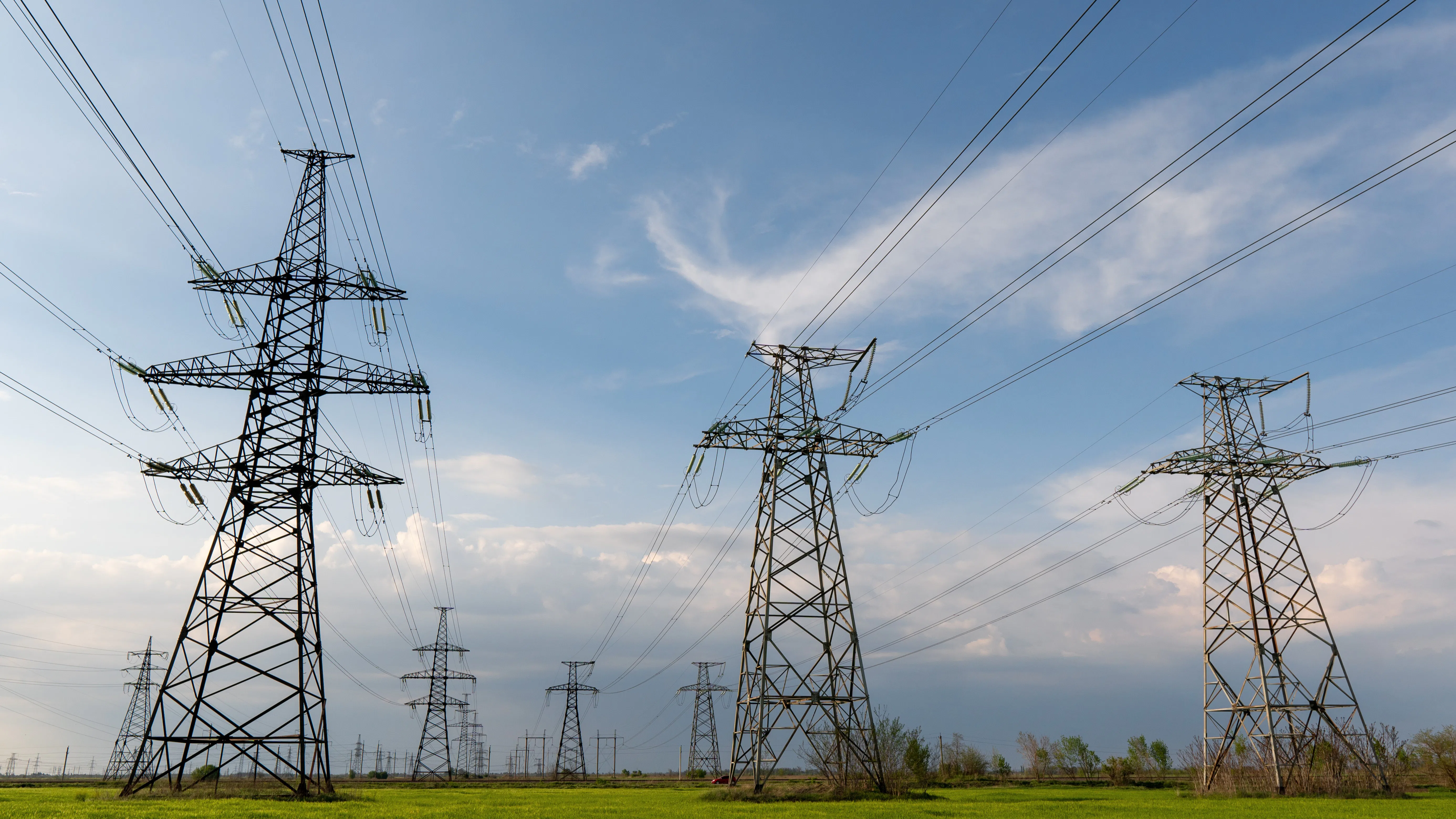 Foto: yelantsevv / Shutterstock