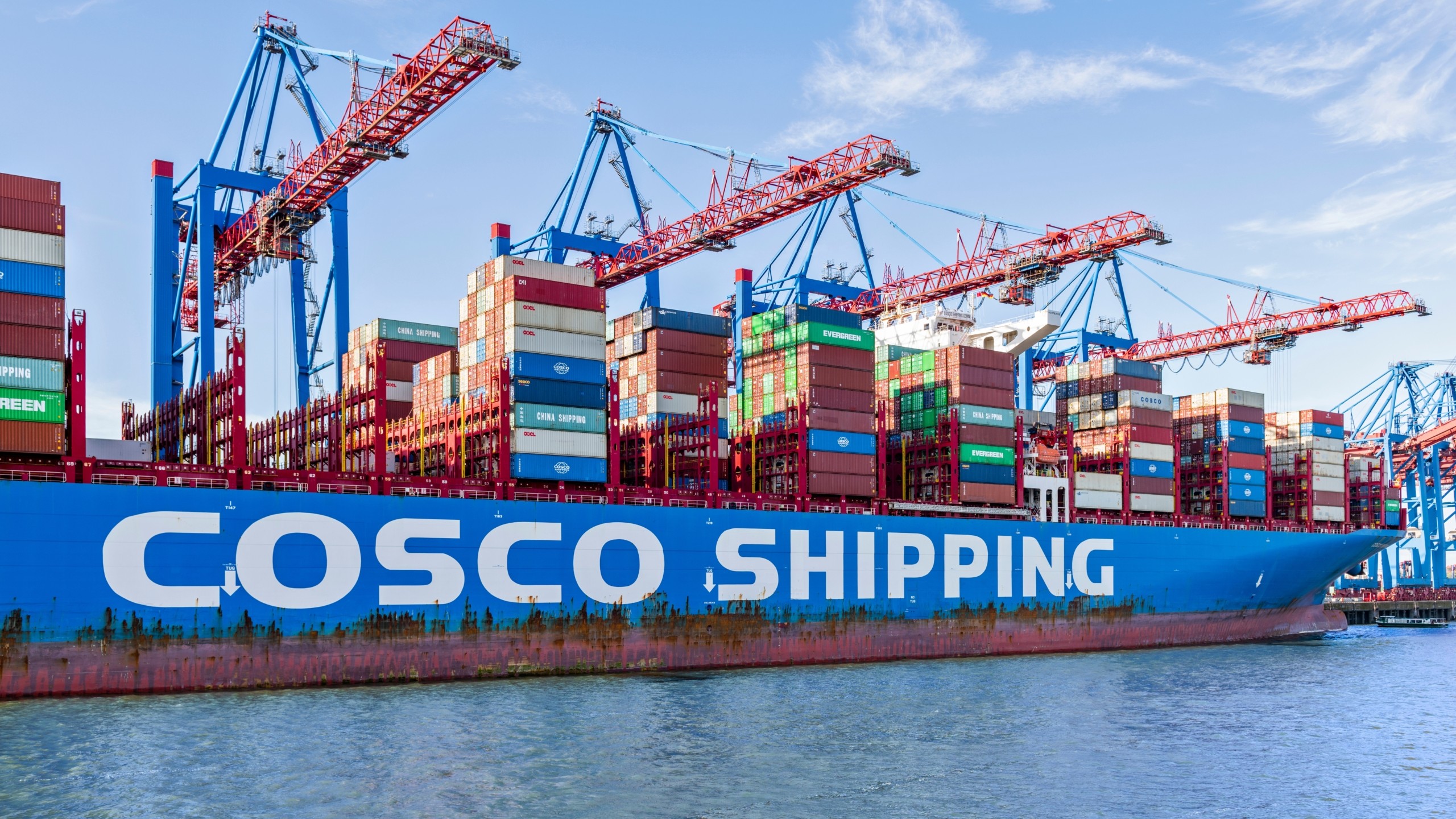 Foto: Wolfgang Jargstorff / Shutterstock