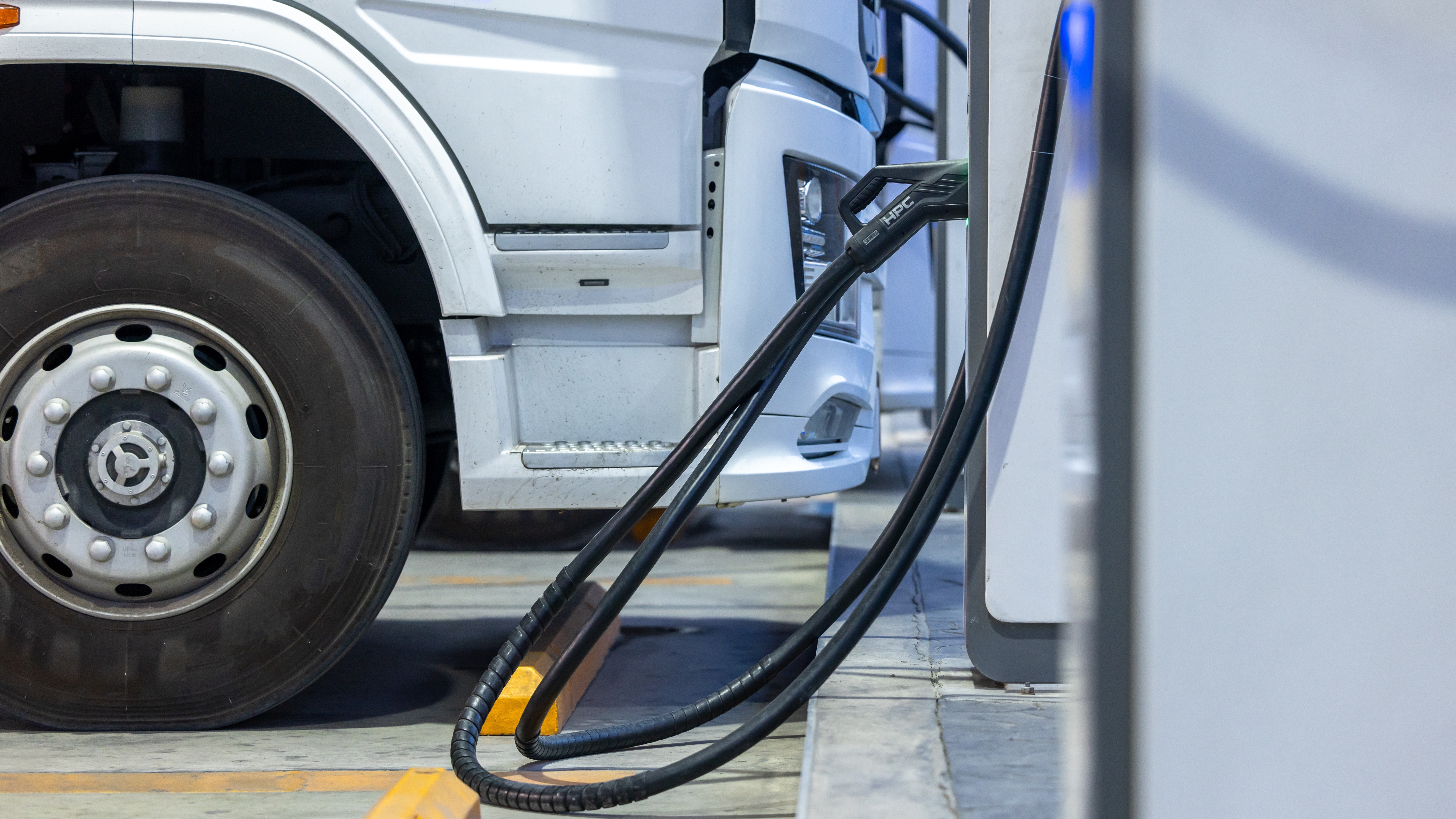 Foto: Mayy Contributor / Shutterstock