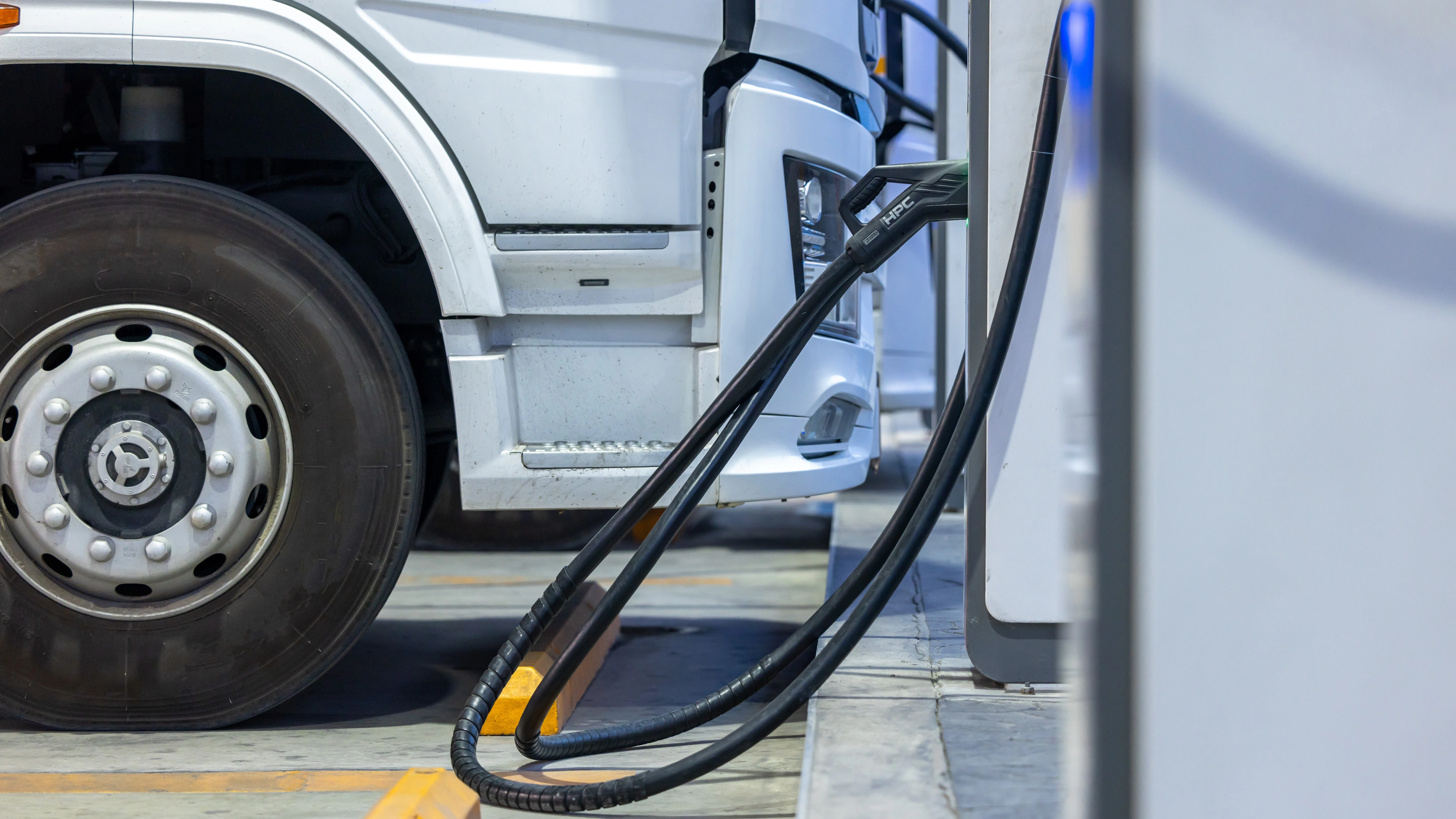 Foto: Mayy Contributor / Shutterstock