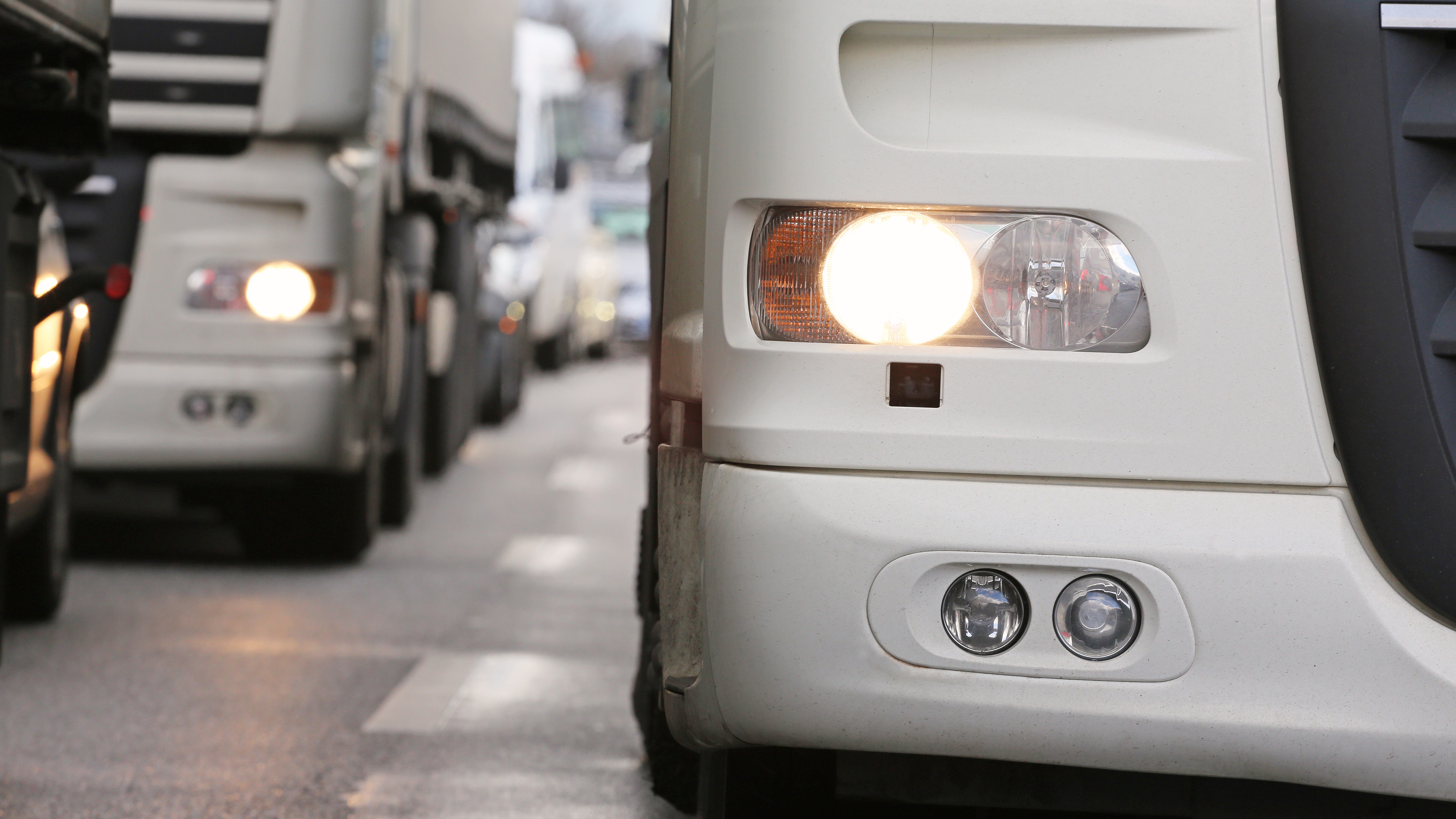 Foto: Canetti / Shutterstock