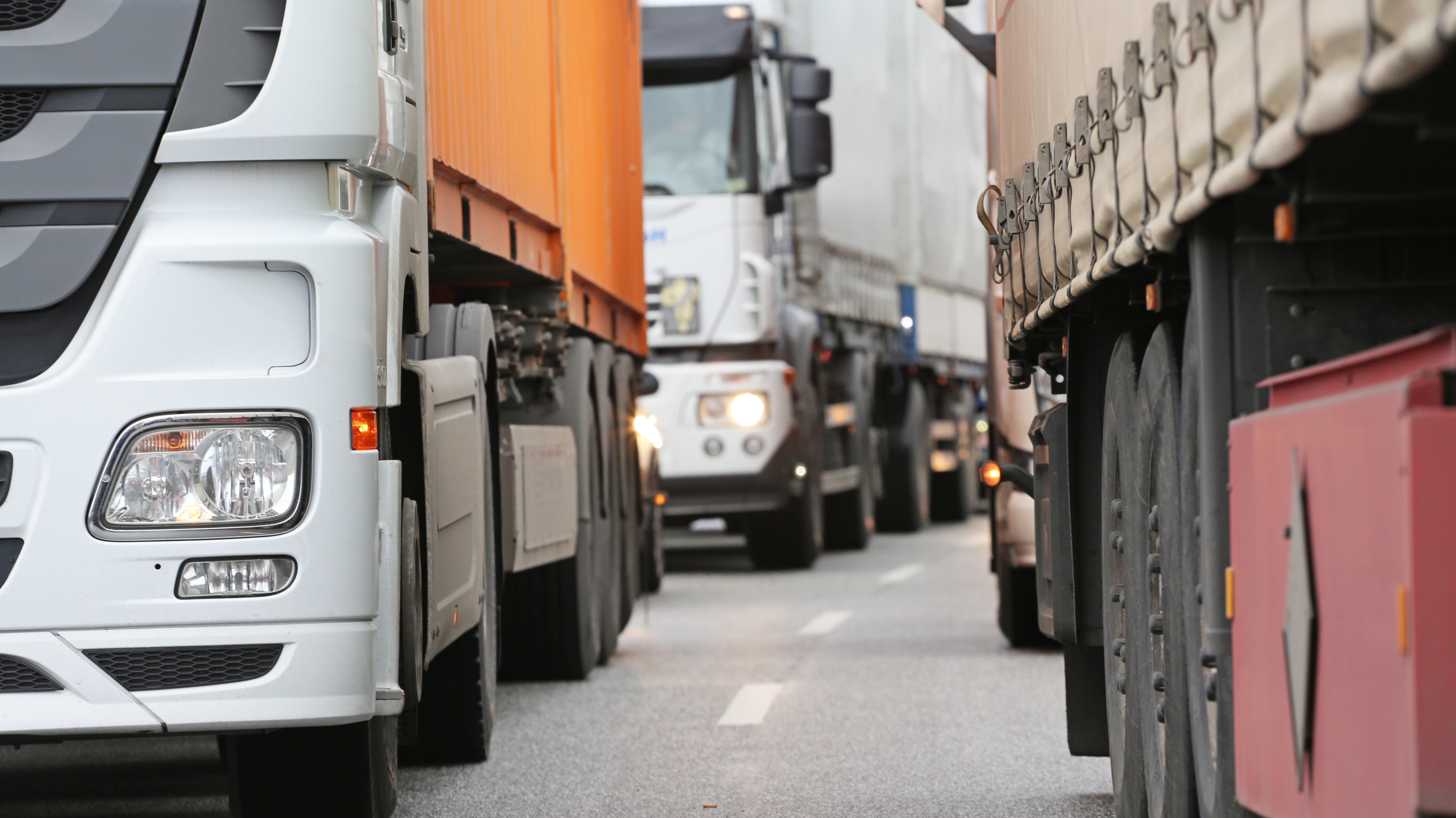 Foto: Canetti / Shutterstock