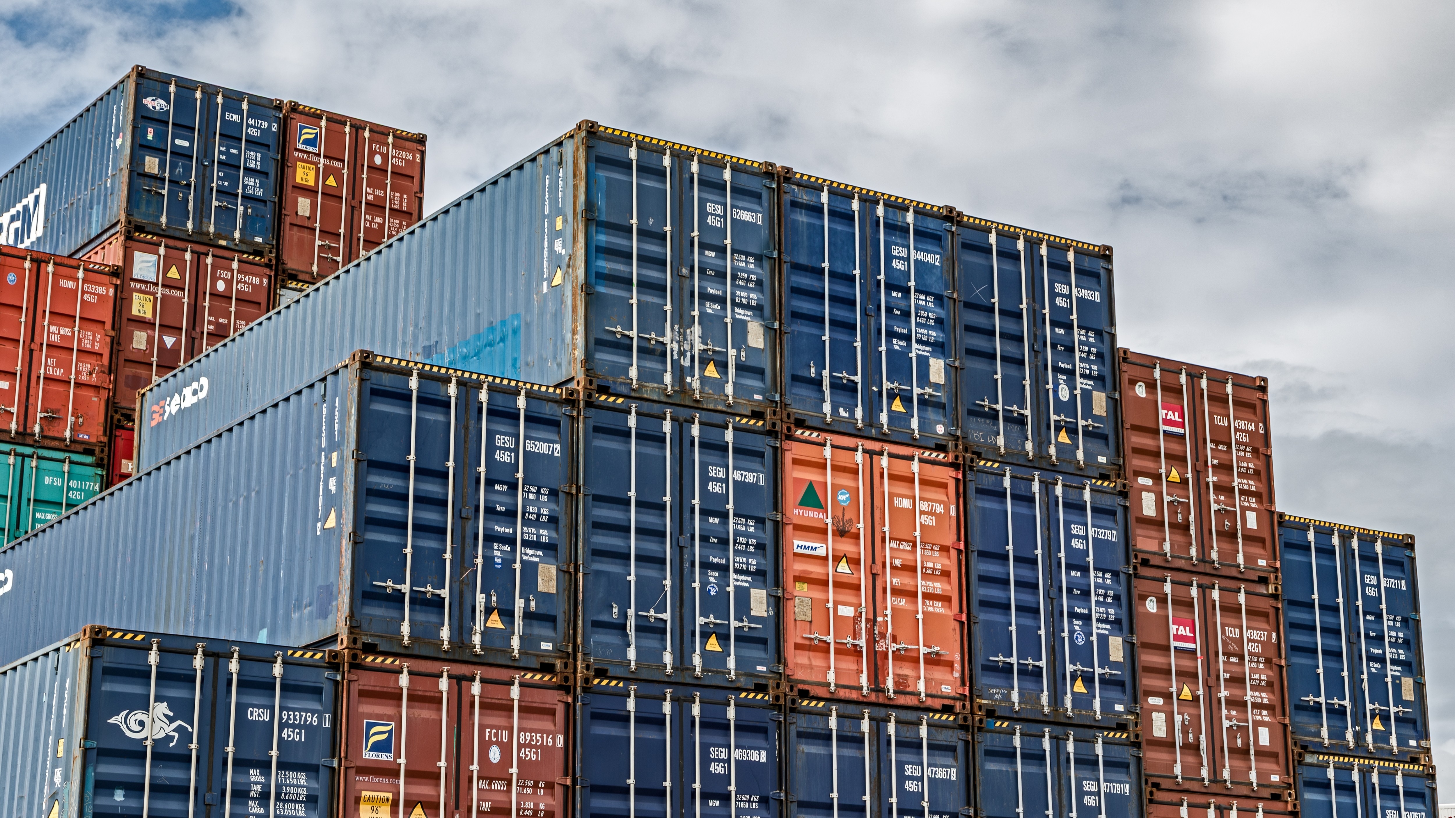 Foto: VanderWolf Images / Shutterstock