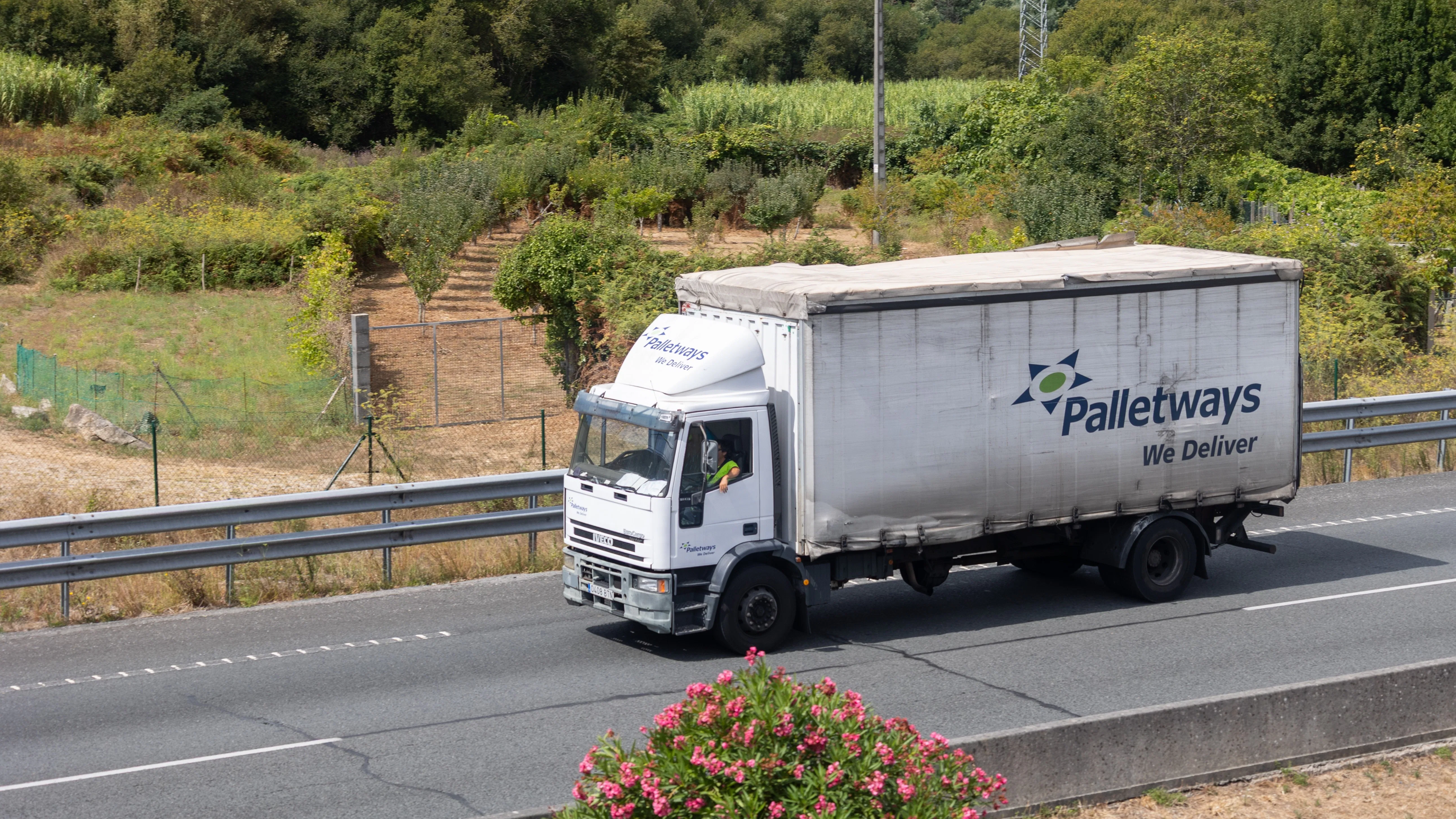 Foto: Azulblue / Shutterstock