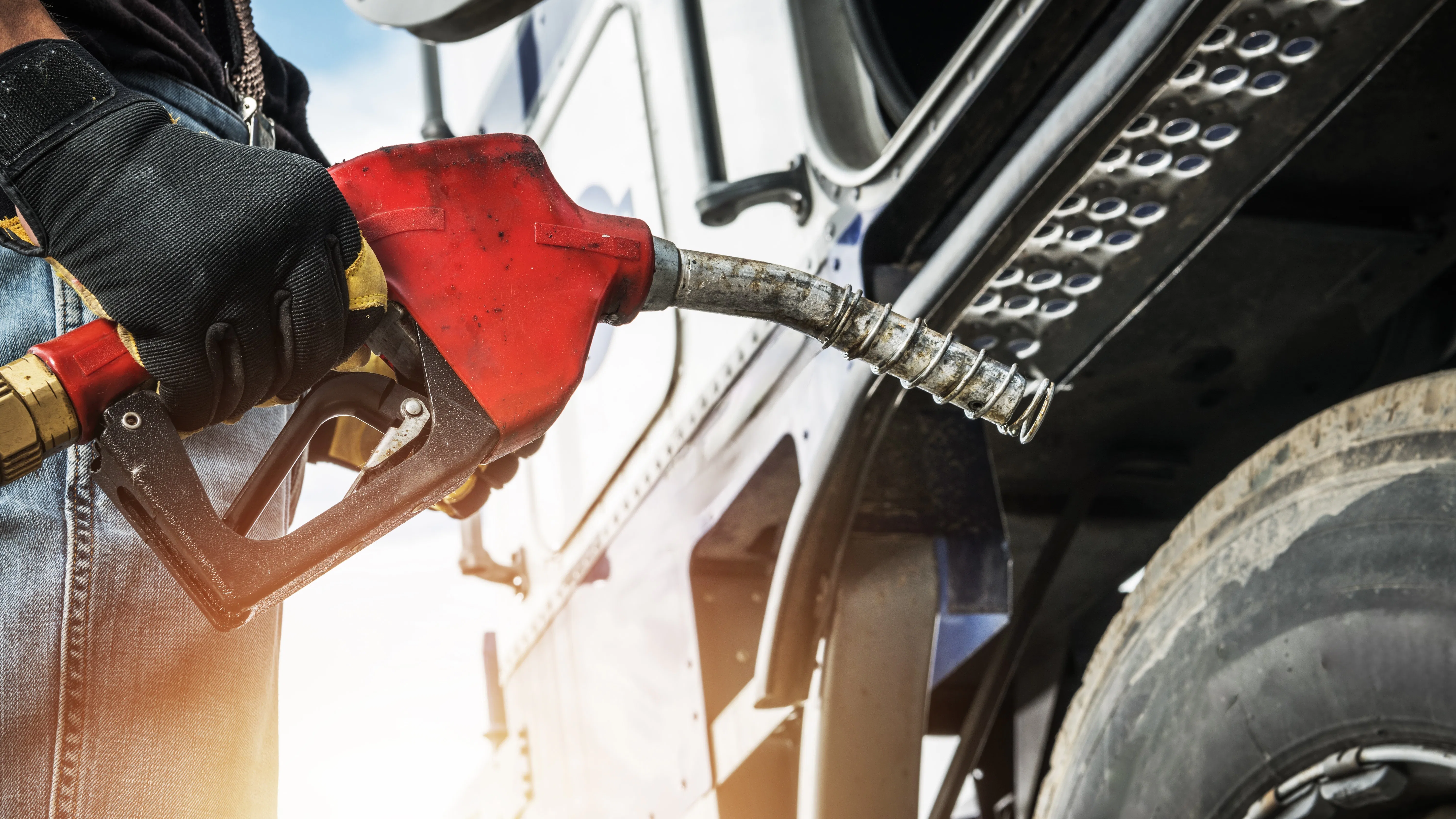 Foto: Virrage Images / Shutterstock