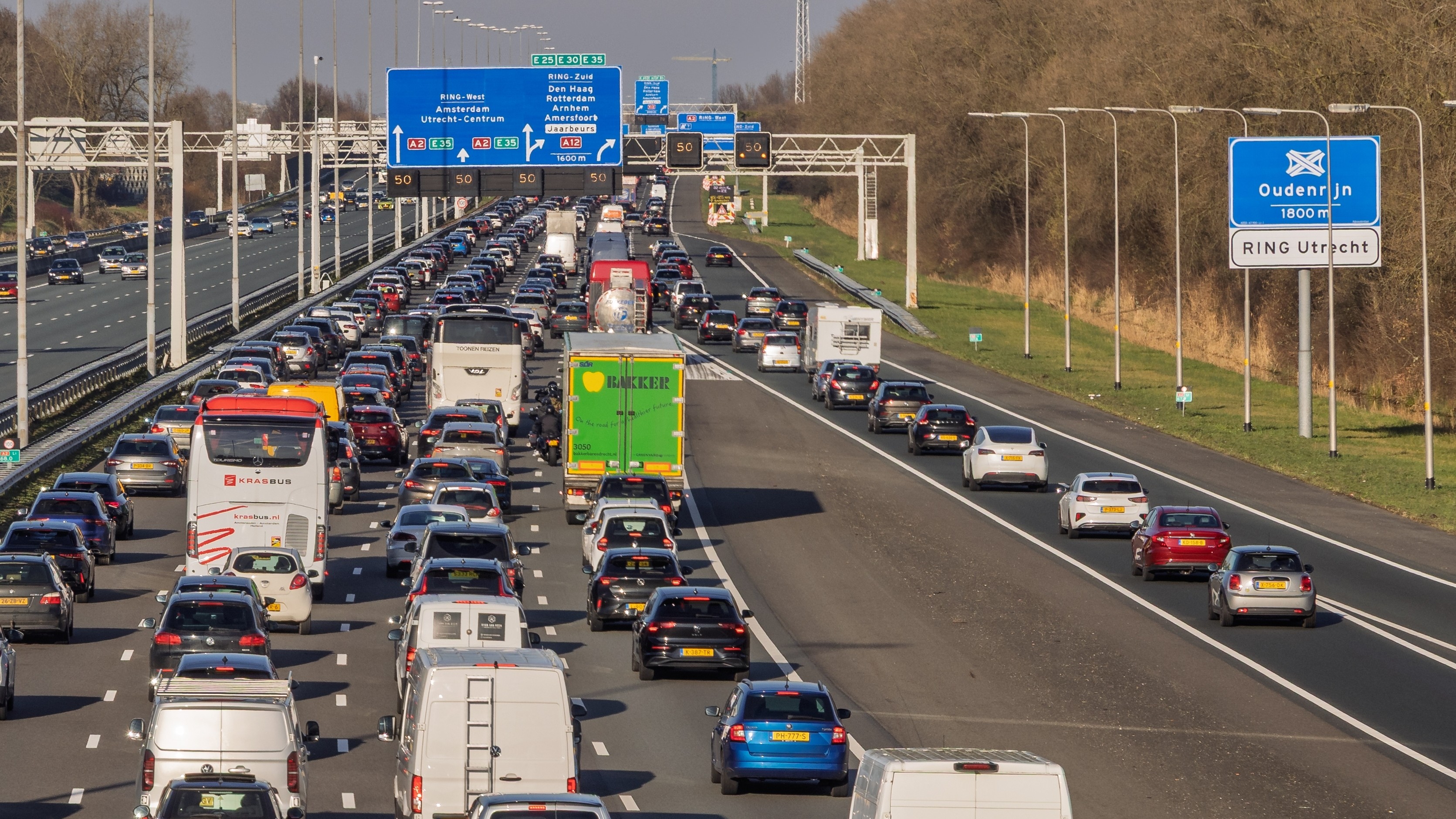 Foto: PixelBiss / Shutterstock.com