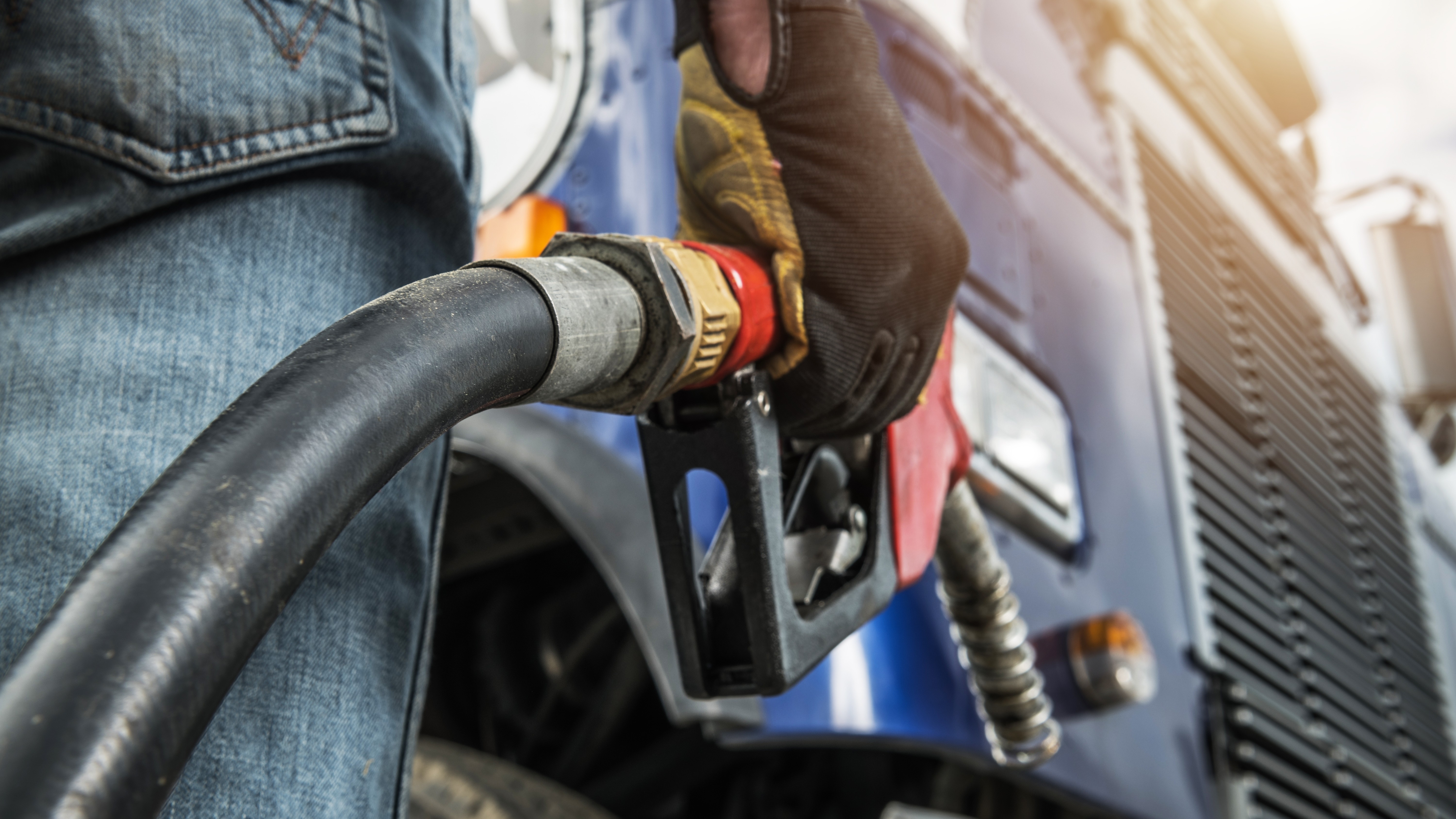 Foto: Virrage Images / Shutterstock