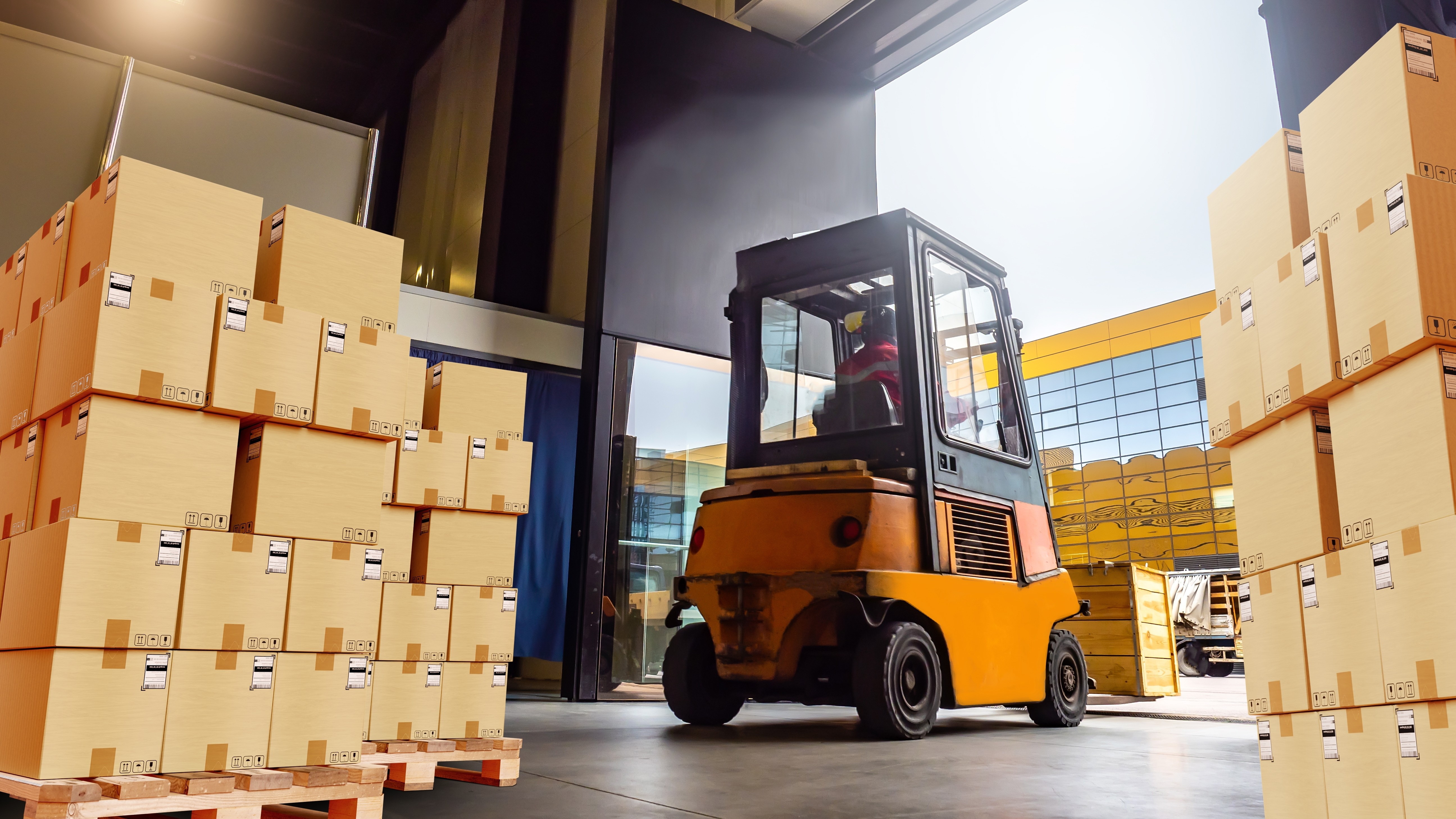 Foto: FOTOGRIN / Shutterstock